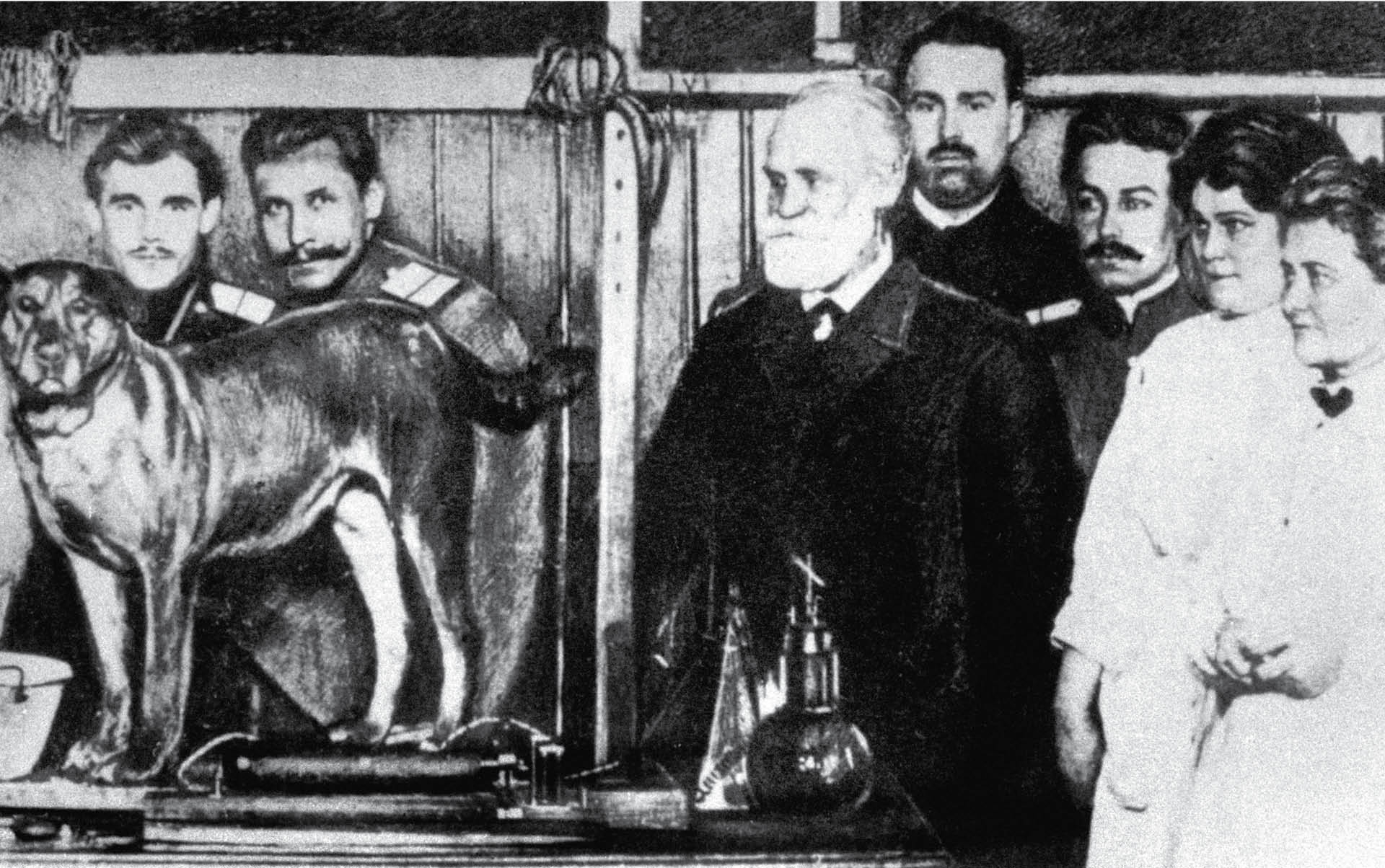 684497_big_photo_image_photo_image