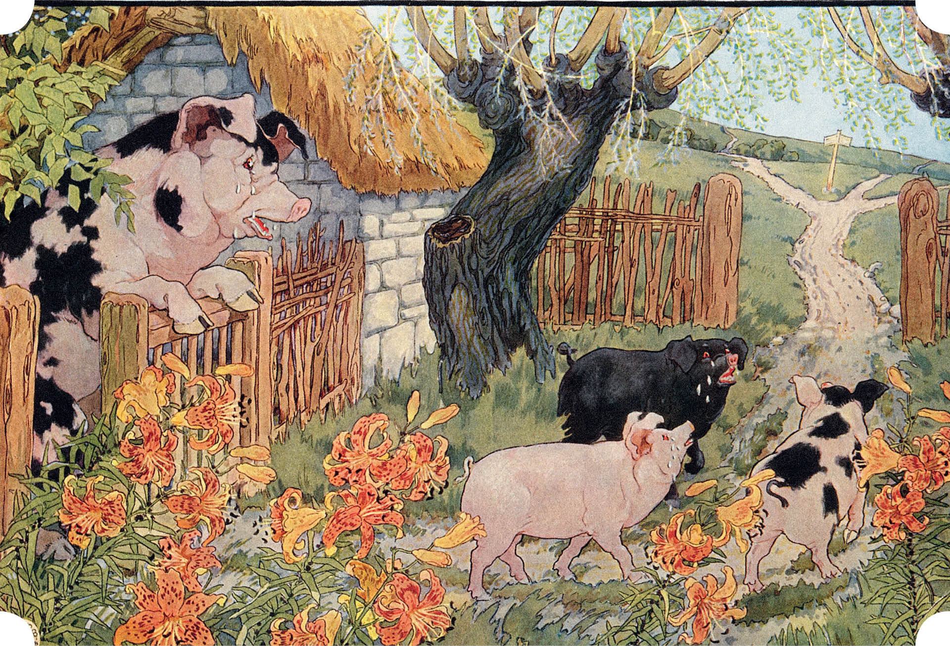 685332_big_photo_image_photo_image