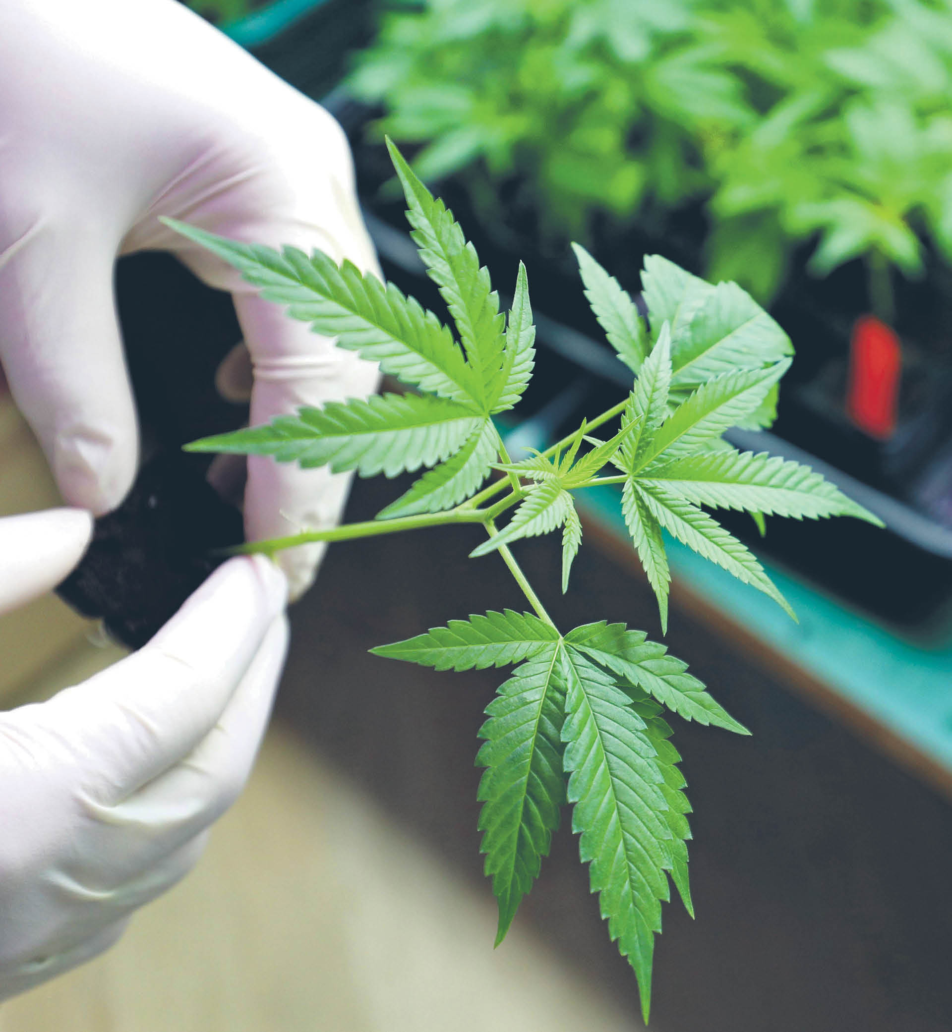 688303_big_photo_image_photo_image