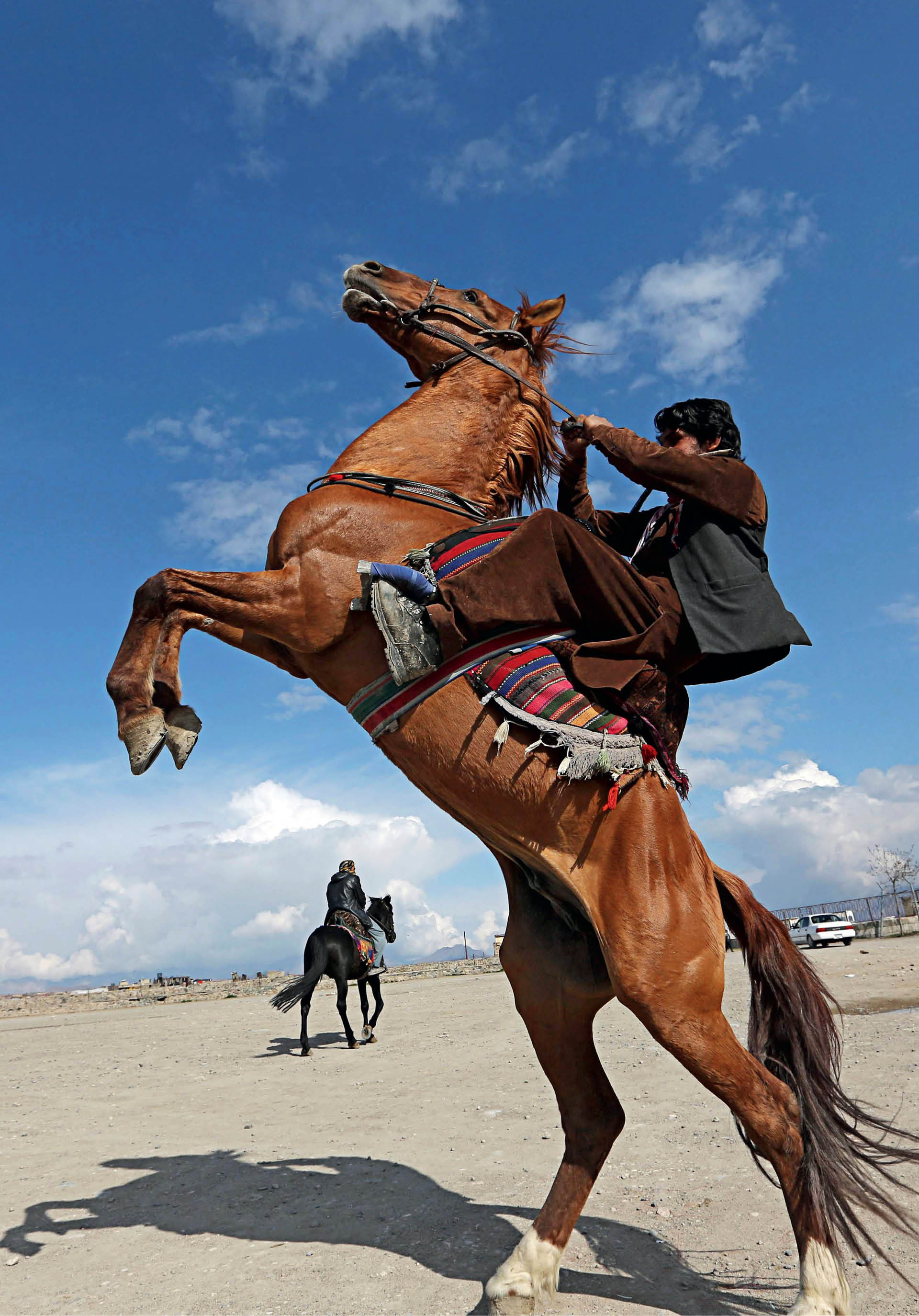 693499_big_photo_image_photo_image