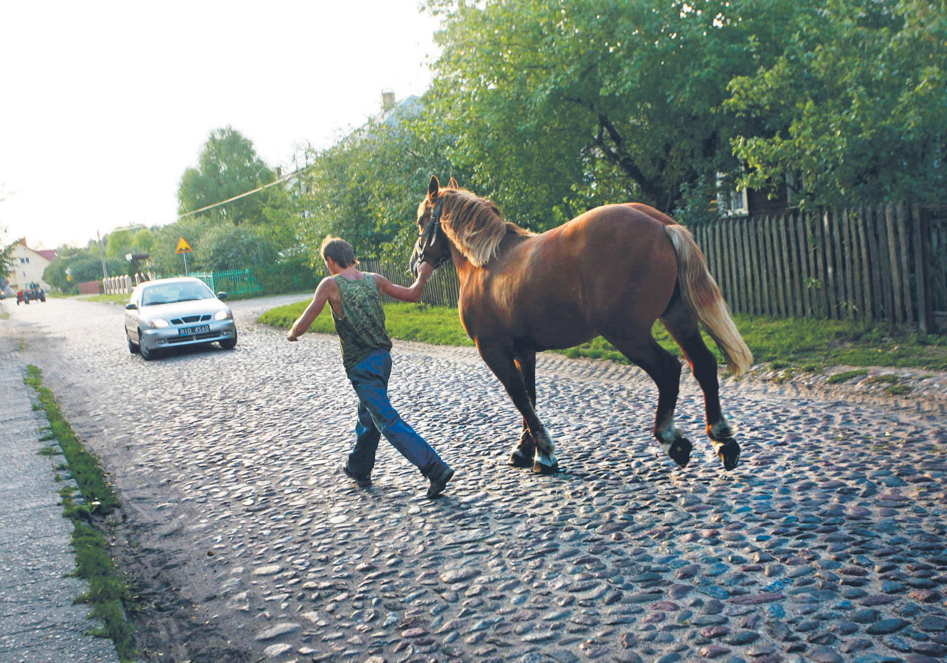 693090_big_photo_image_photo_image