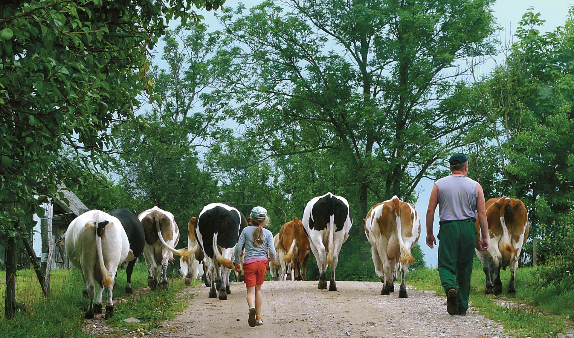 694035_big_photo_image_photo_image