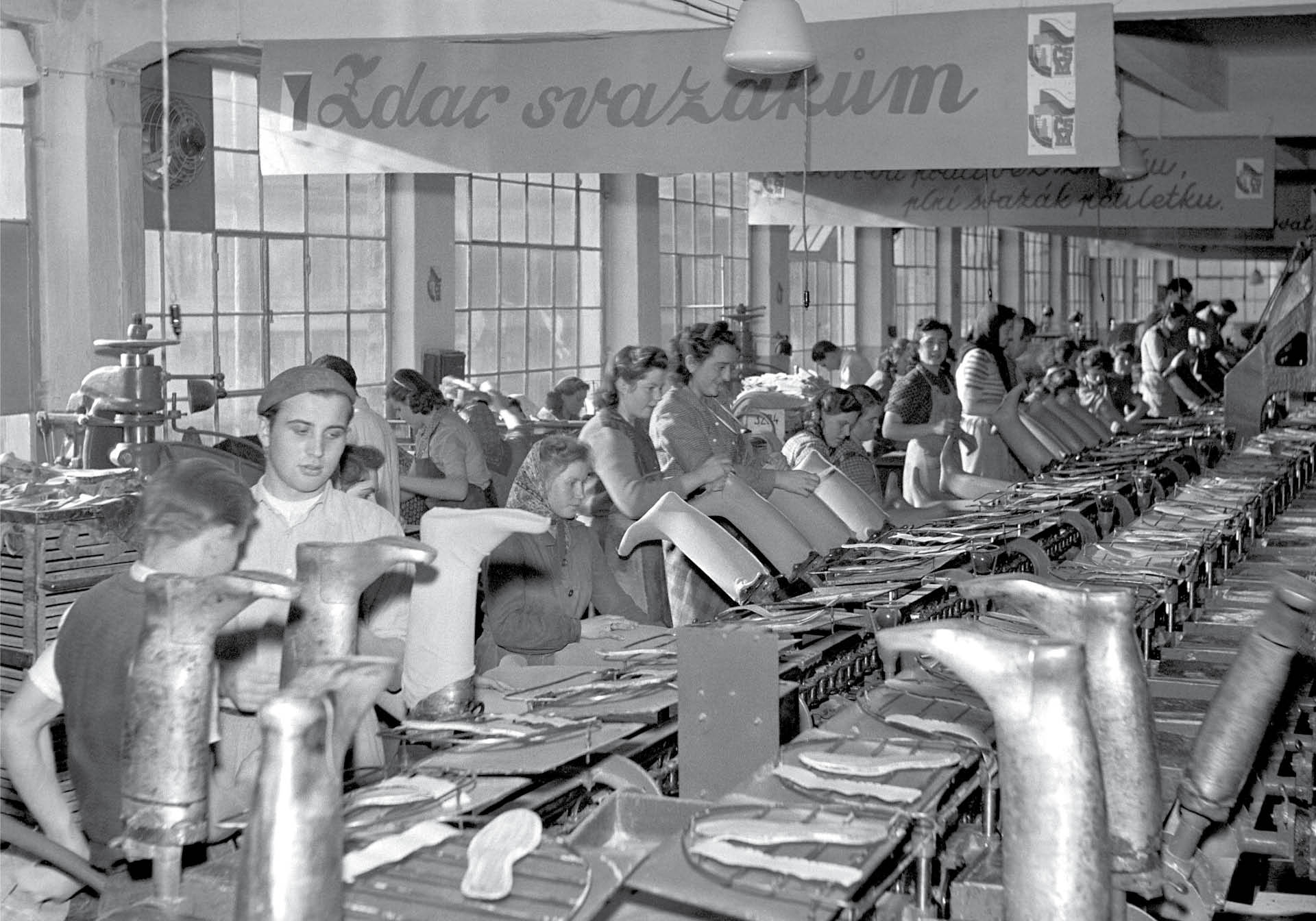 696975_big_photo_image_photo_image