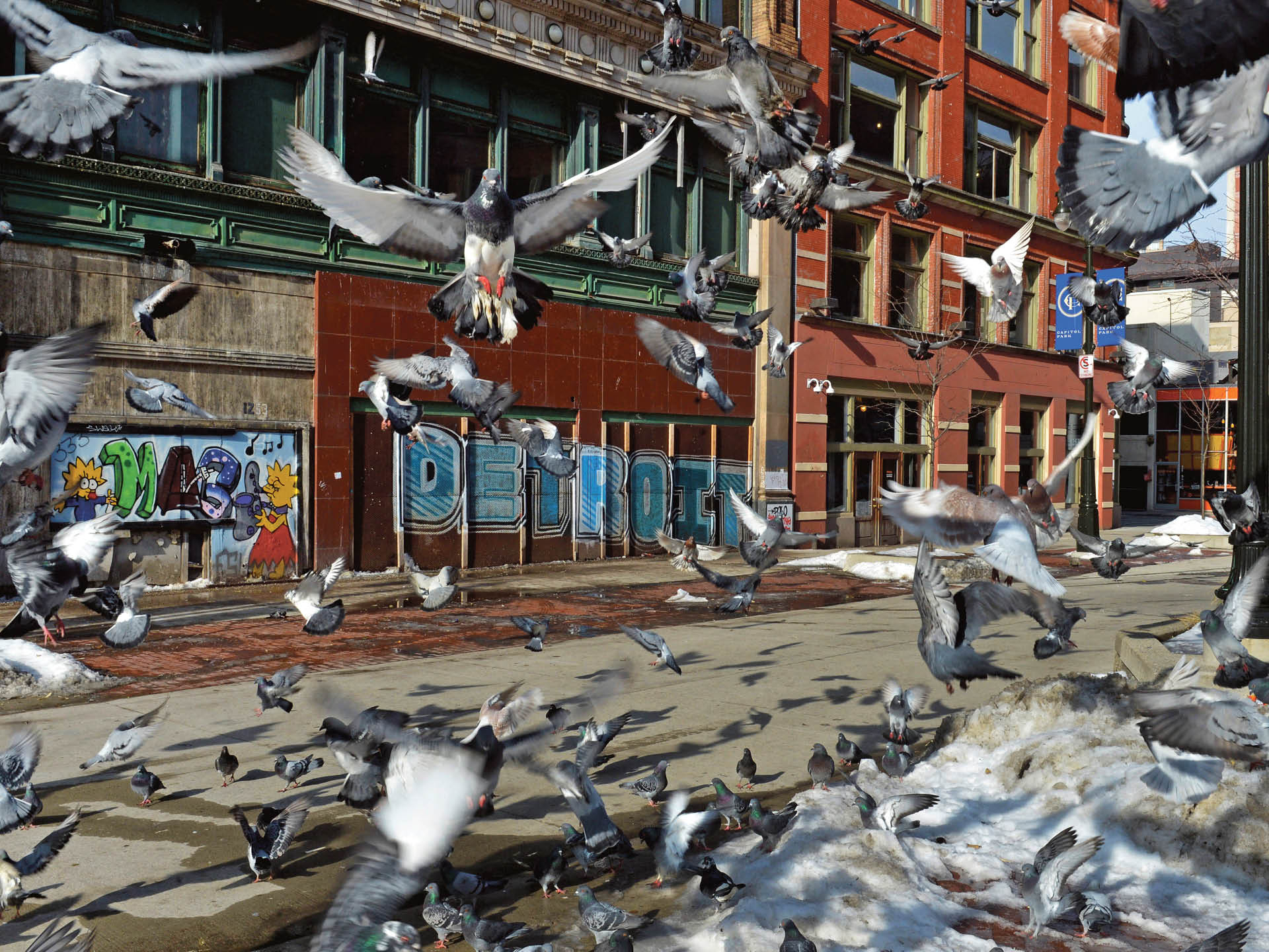 696267_big_photo_image_photo_image