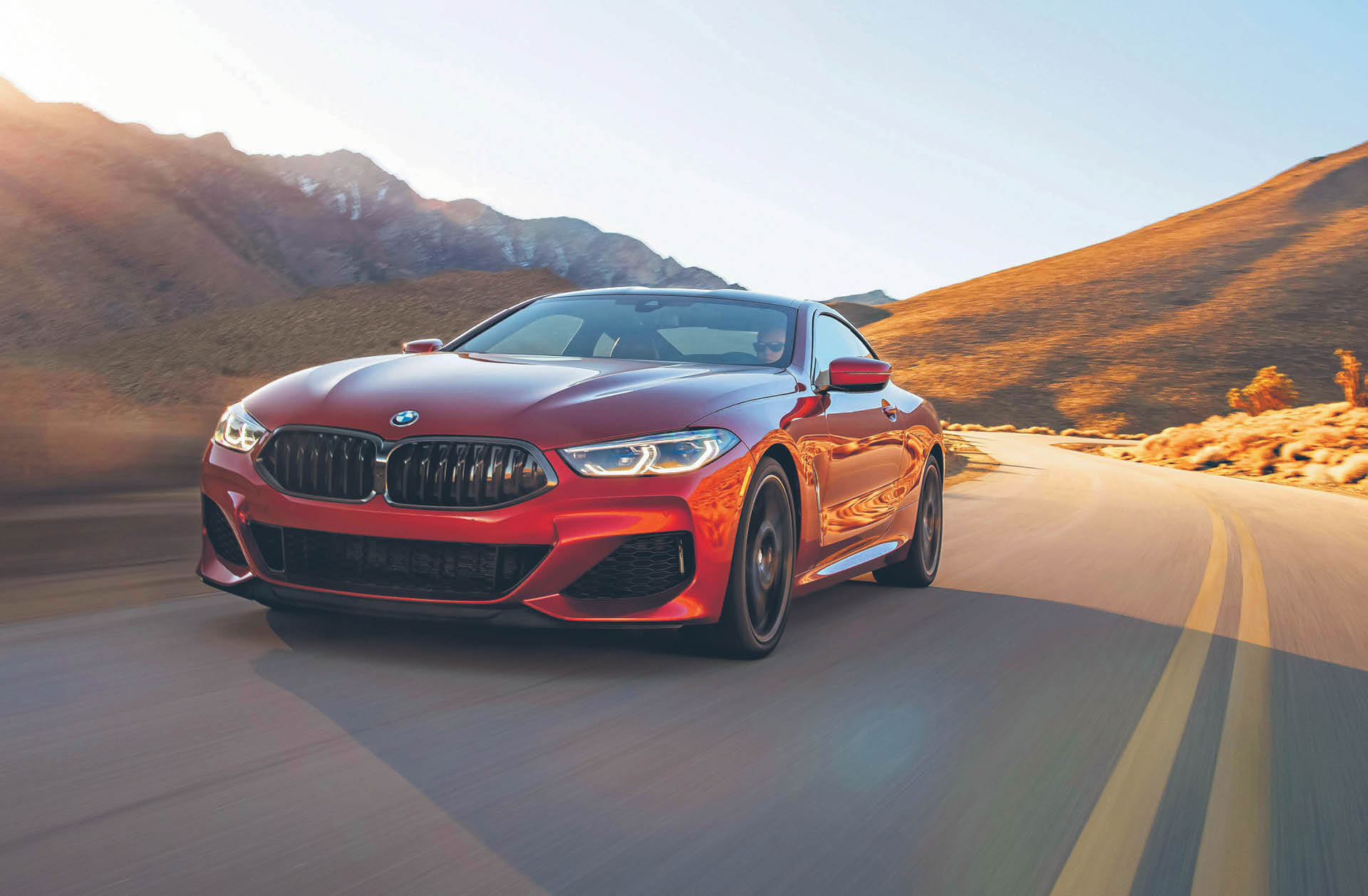 698851_big_photo_image_photo_image