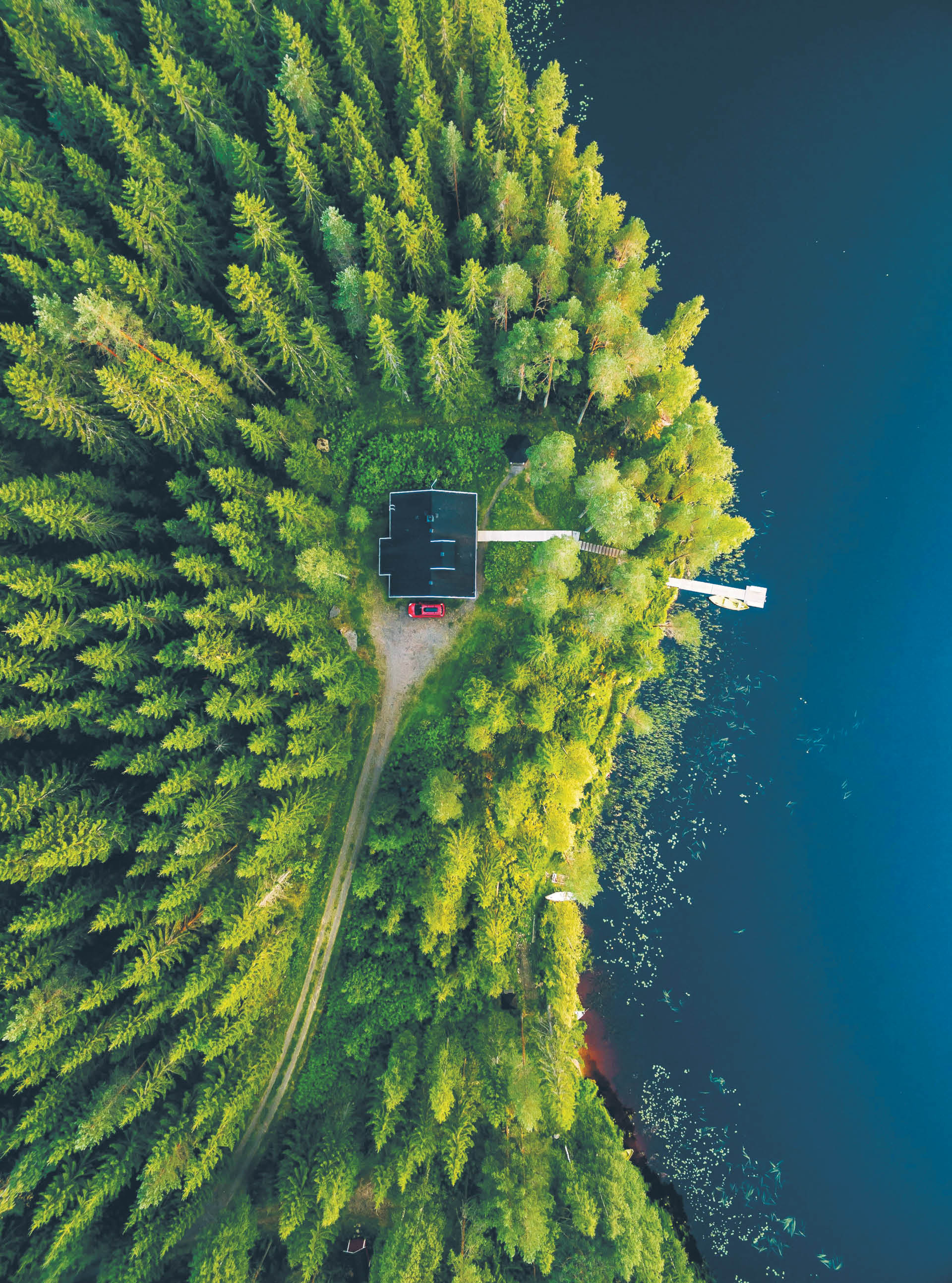 699798_big_photo_image_photo_image