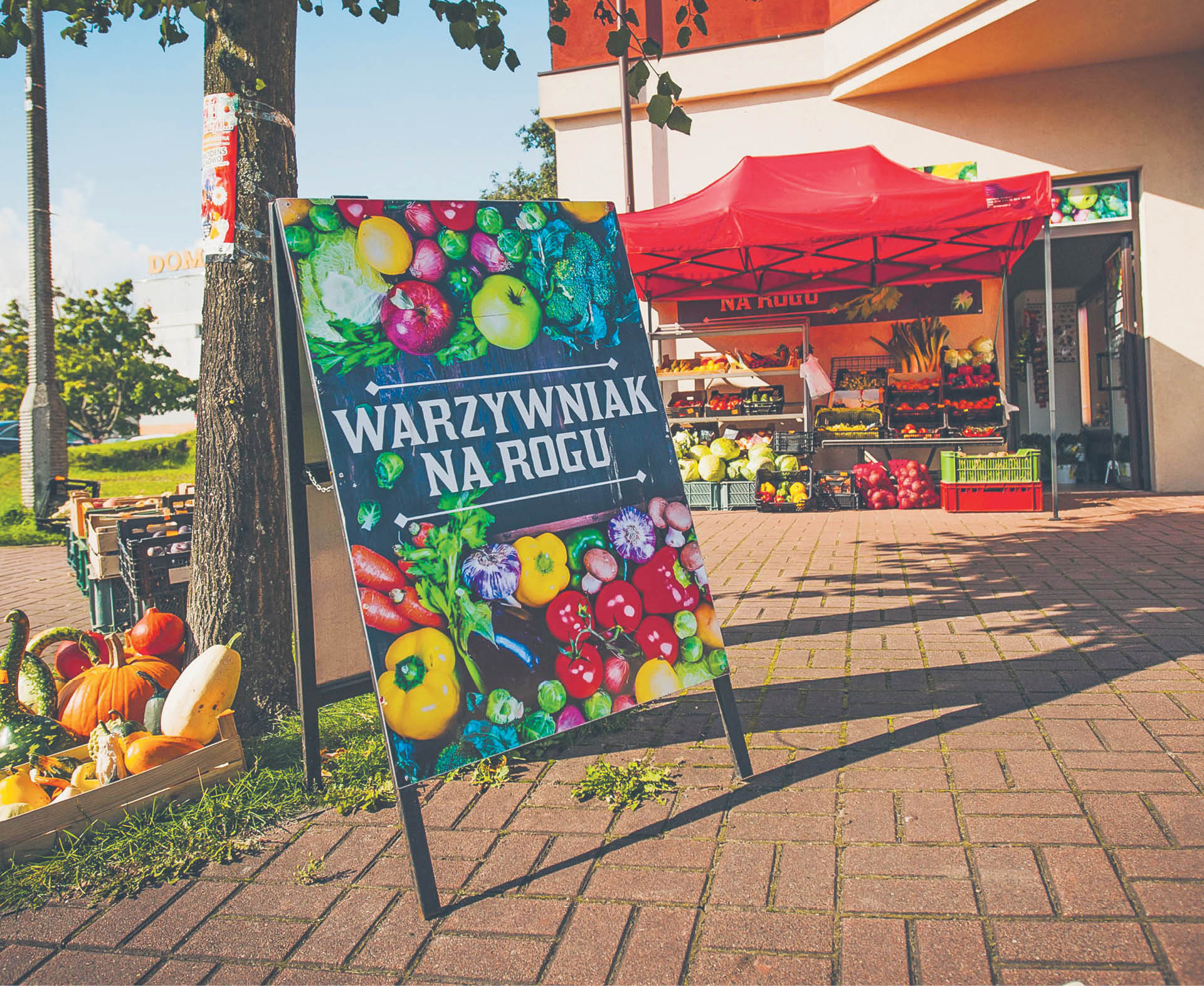 705401_big_photo_image_photo_image