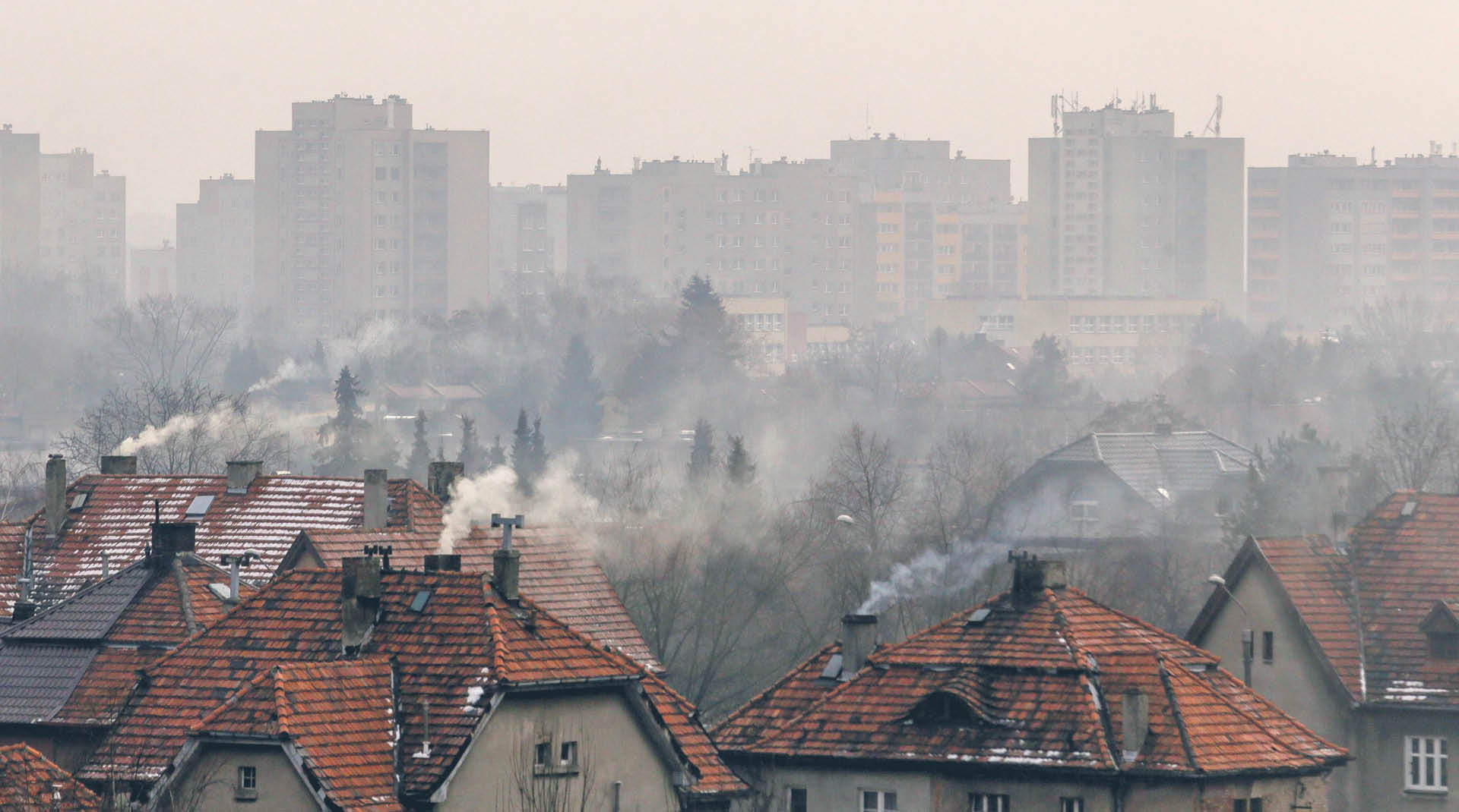 707049_big_photo_image_photo_image