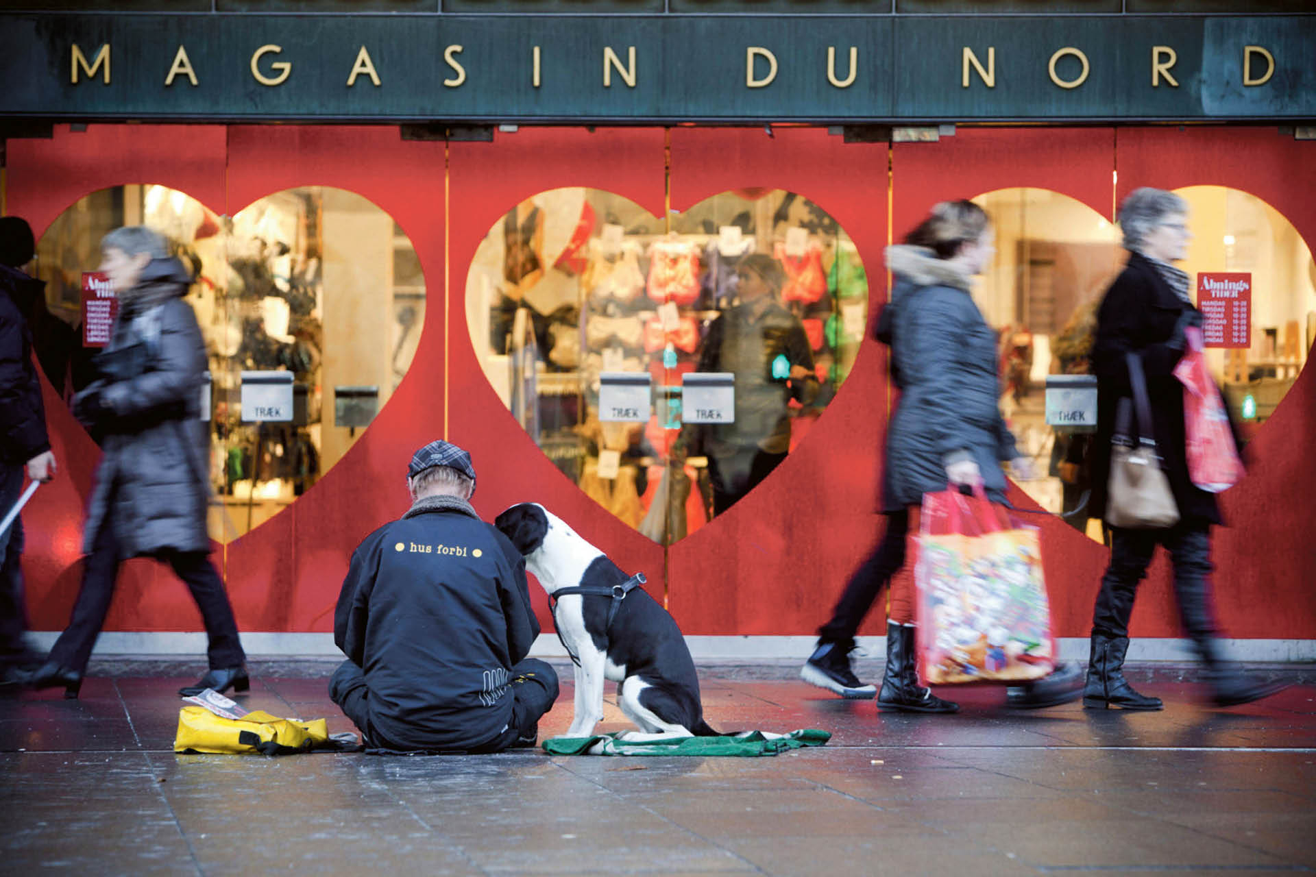 707349_big_photo_image_photo_image