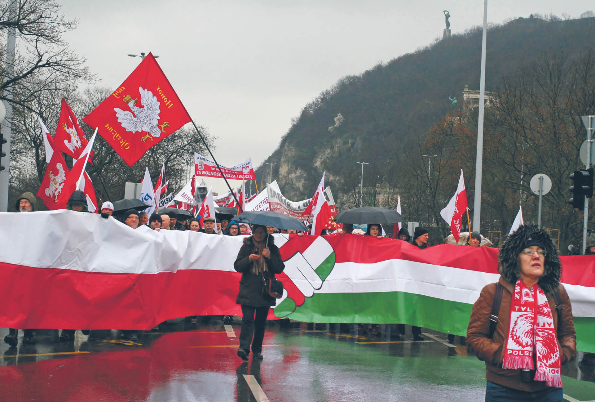 708526_big_photo_image_photo_image