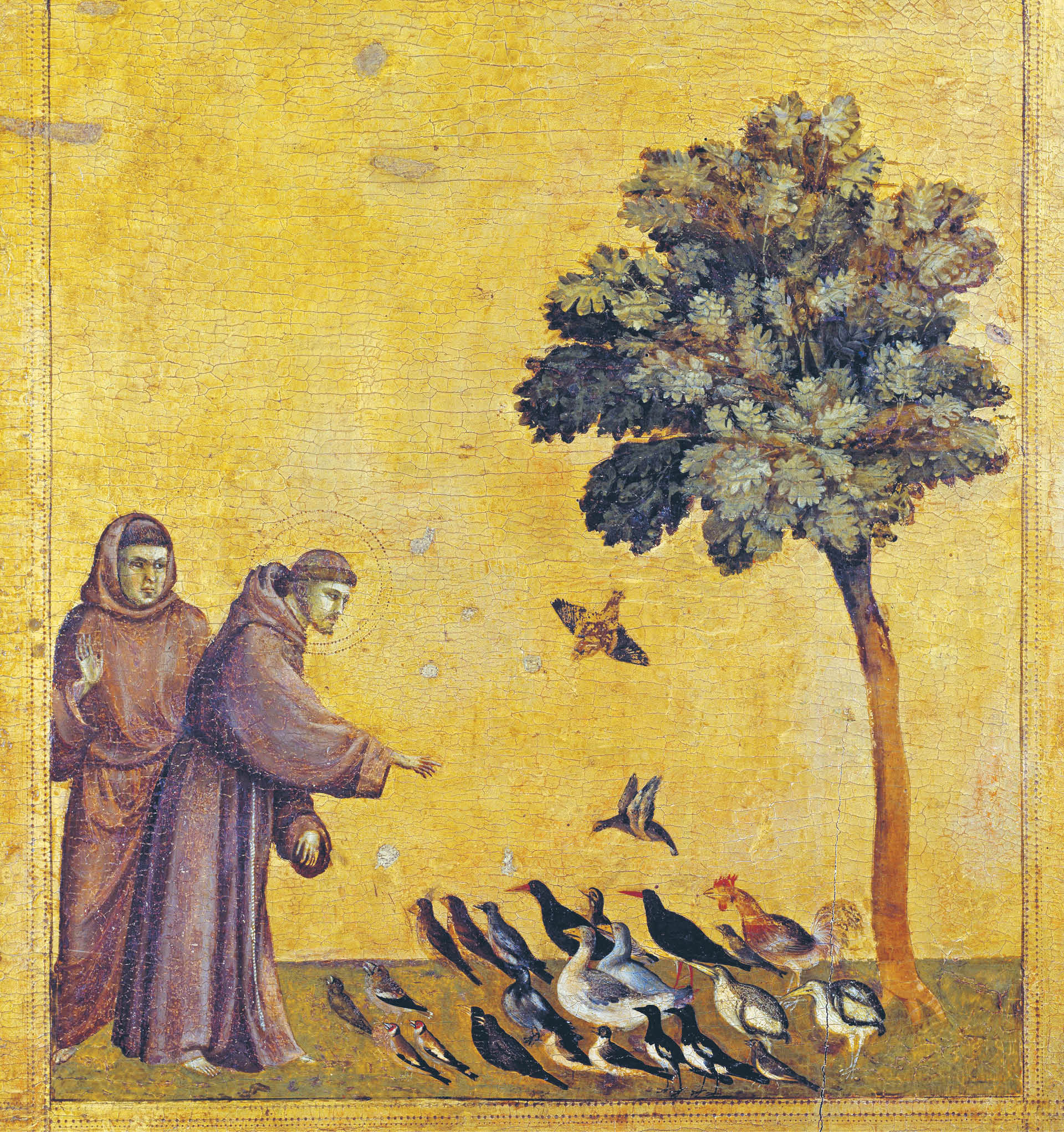 709844_big_photo_image_photo_image