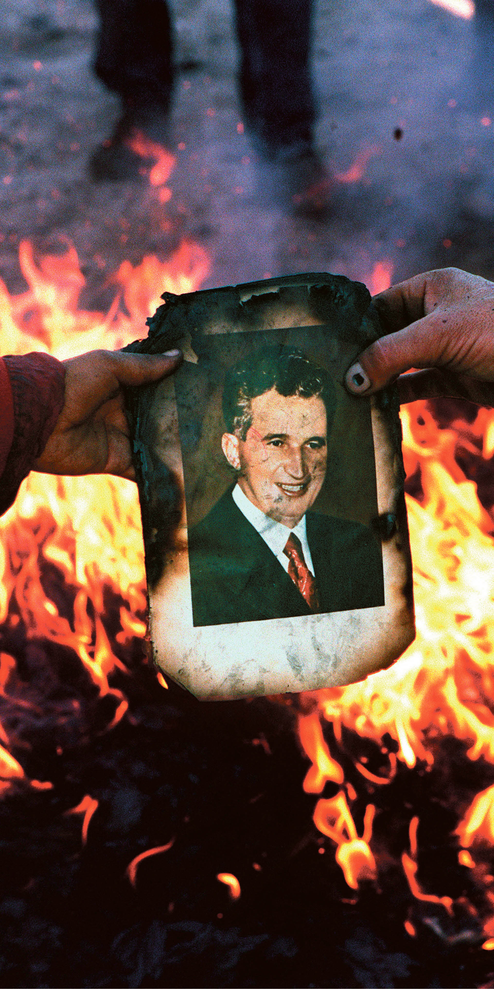 709220_big_photo_image_photo_image