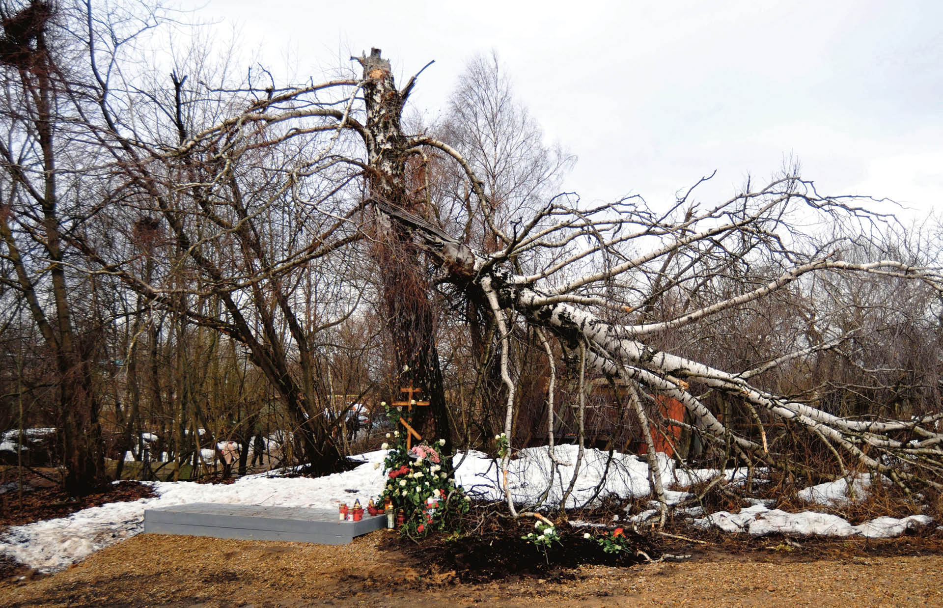 710718_big_photo_image_photo_image