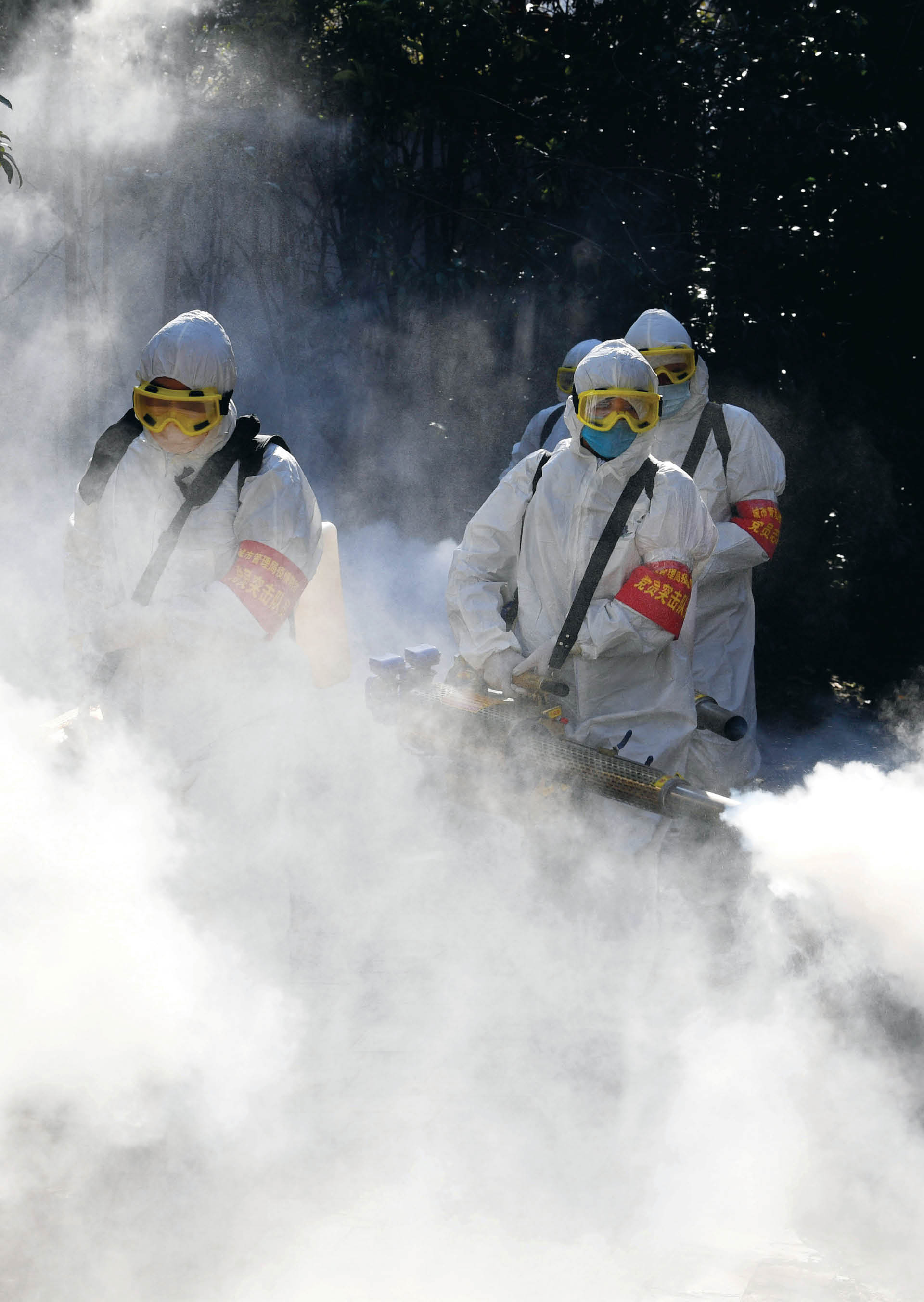 715124_big_photo_image_photo_image