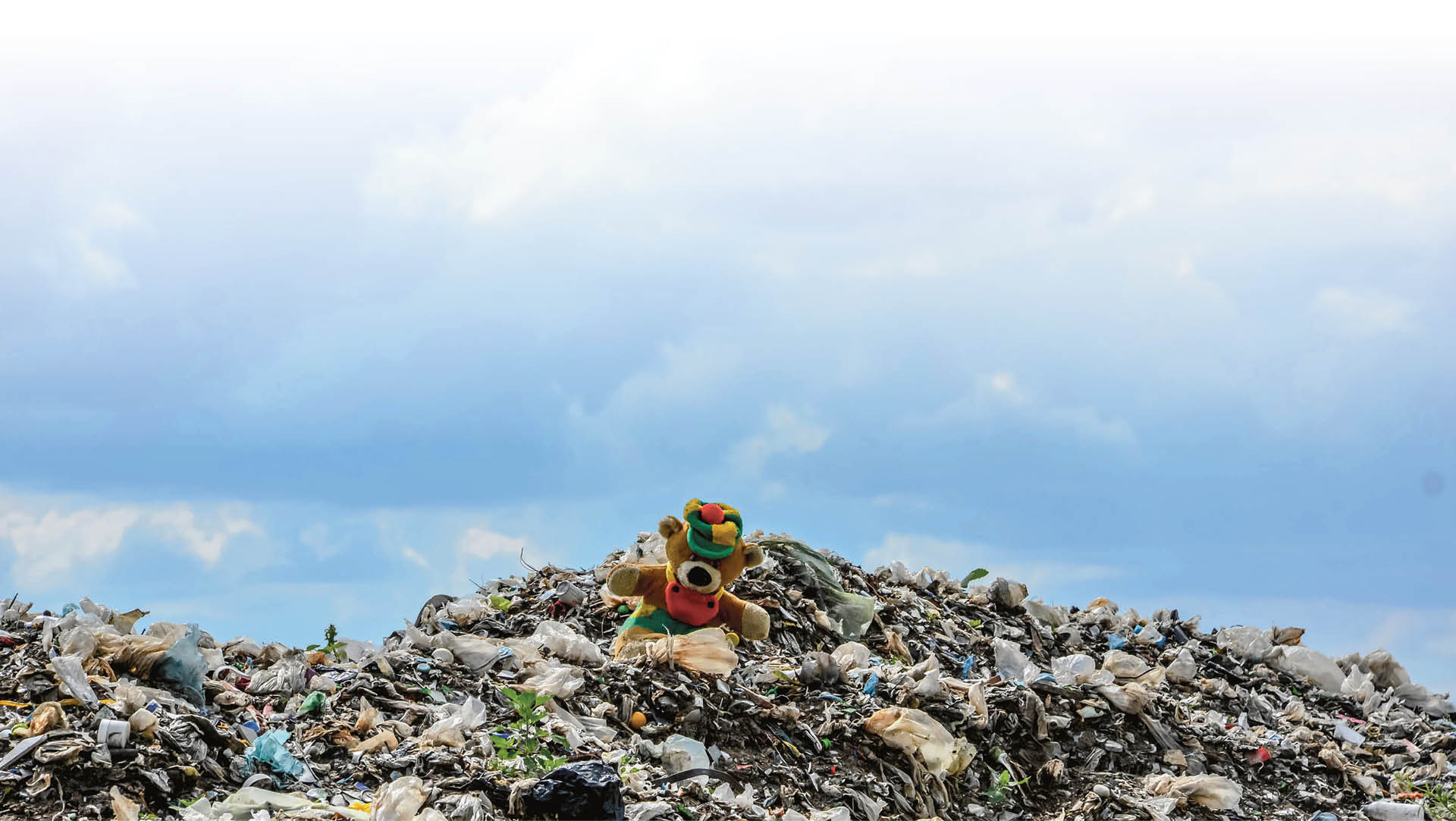 717595_big_photo_image_photo_image