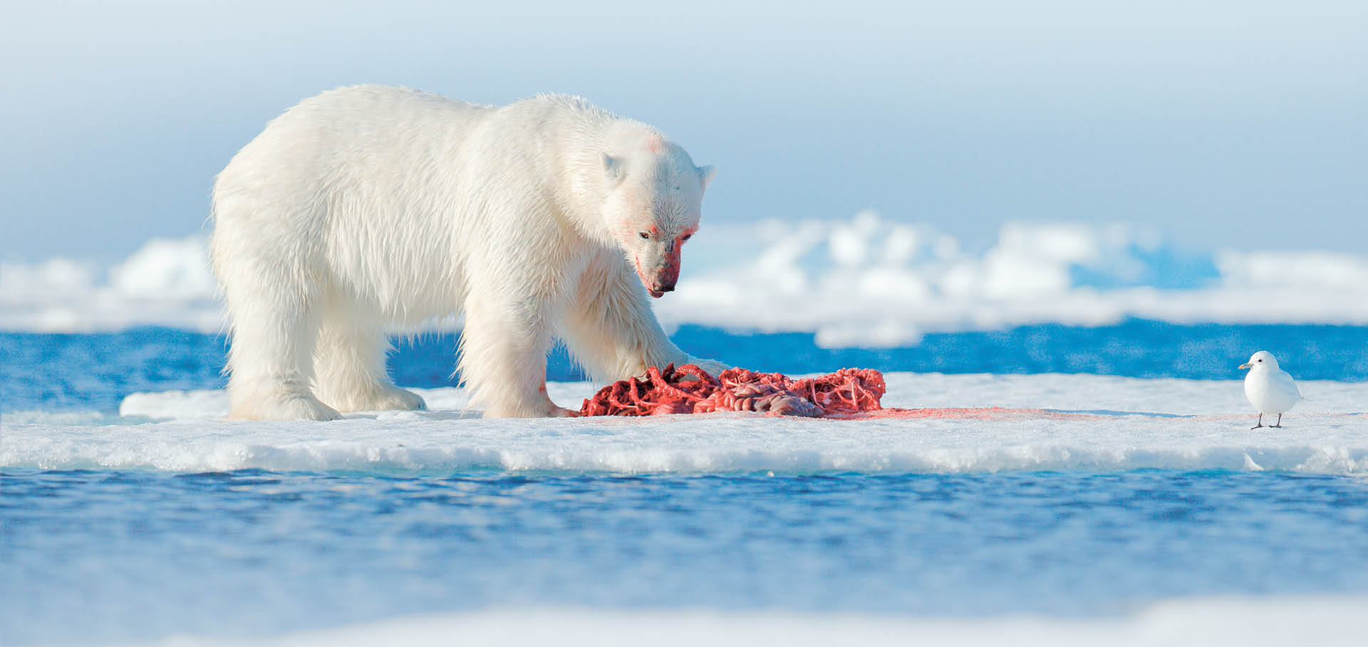 717156_big_photo_image_photo_image