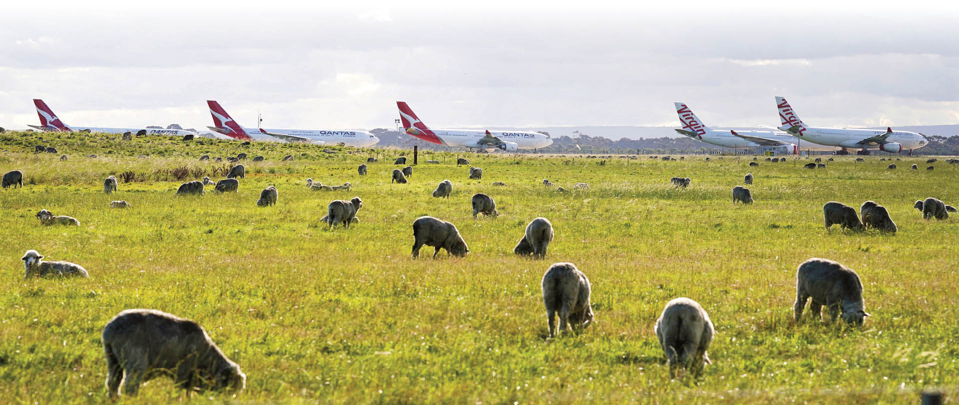 718309_big_photo_image_photo_image