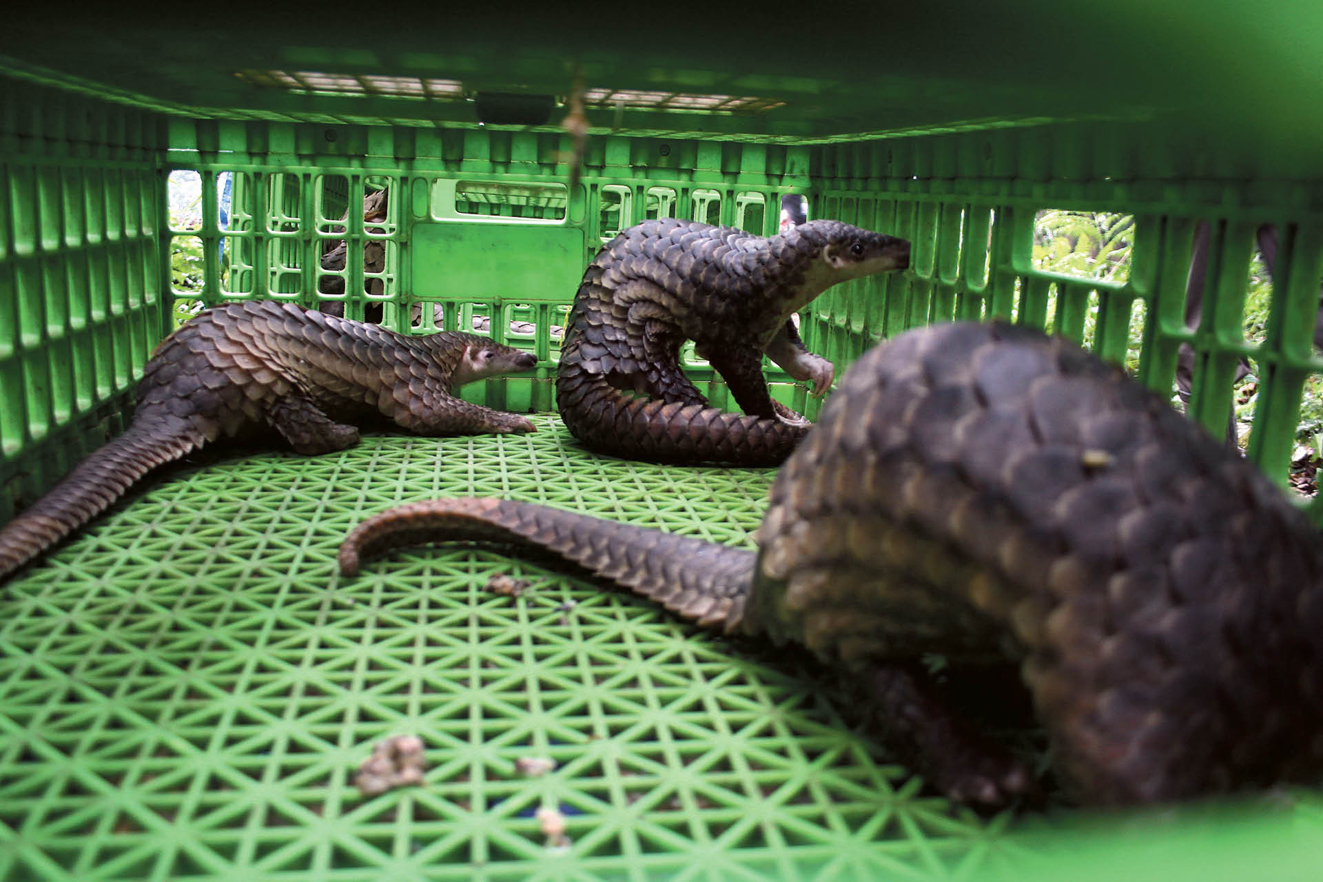 718311_big_photo_image_photo_image