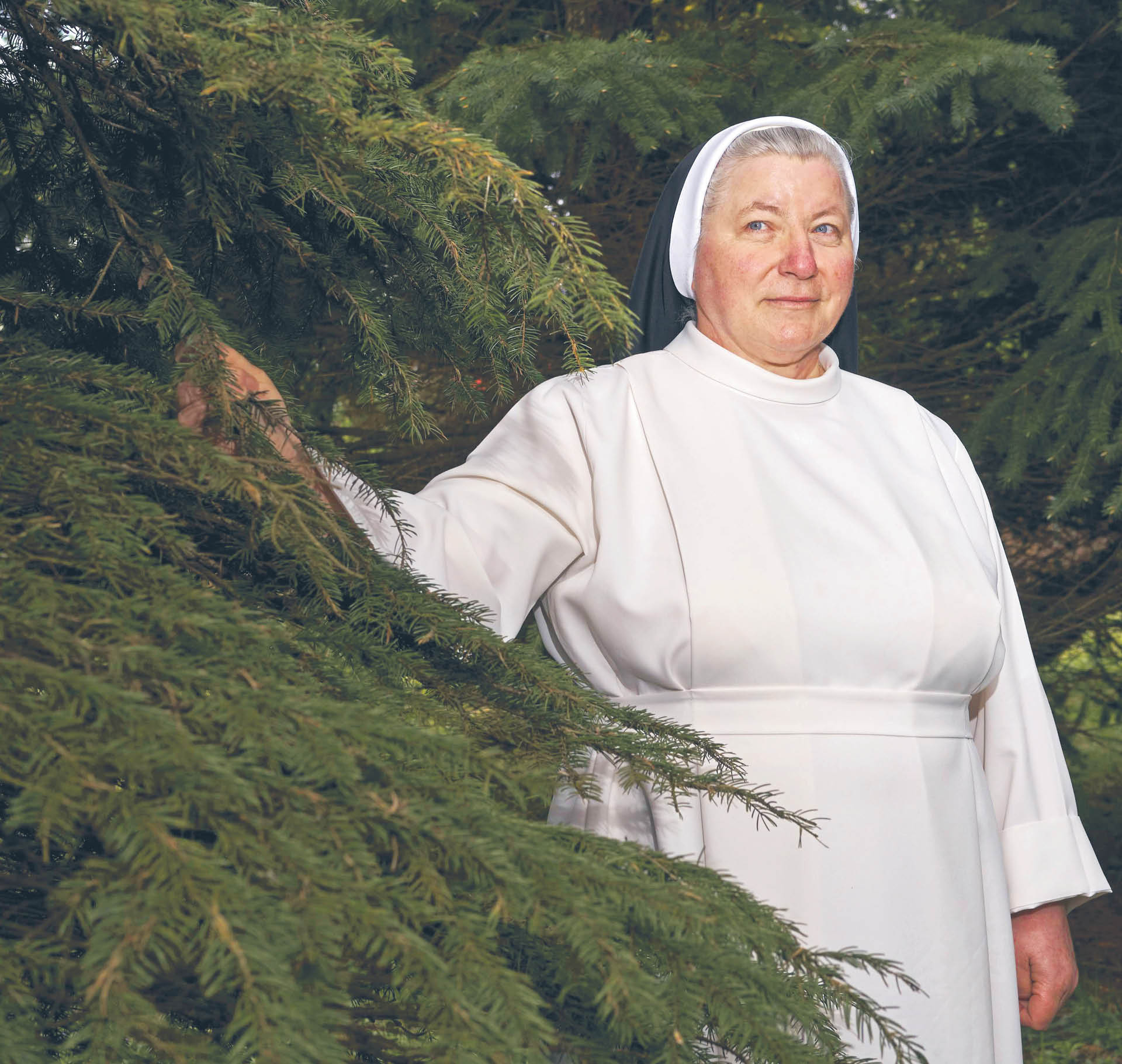 719664_big_photo_image_photo_image