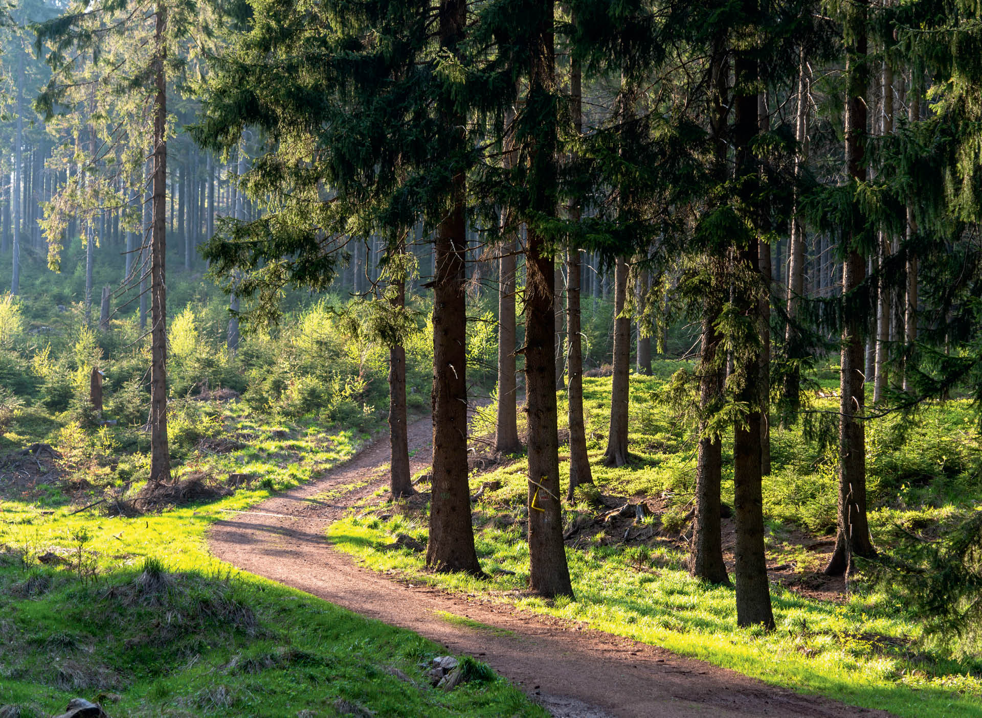 719054_big_photo_image_photo_image