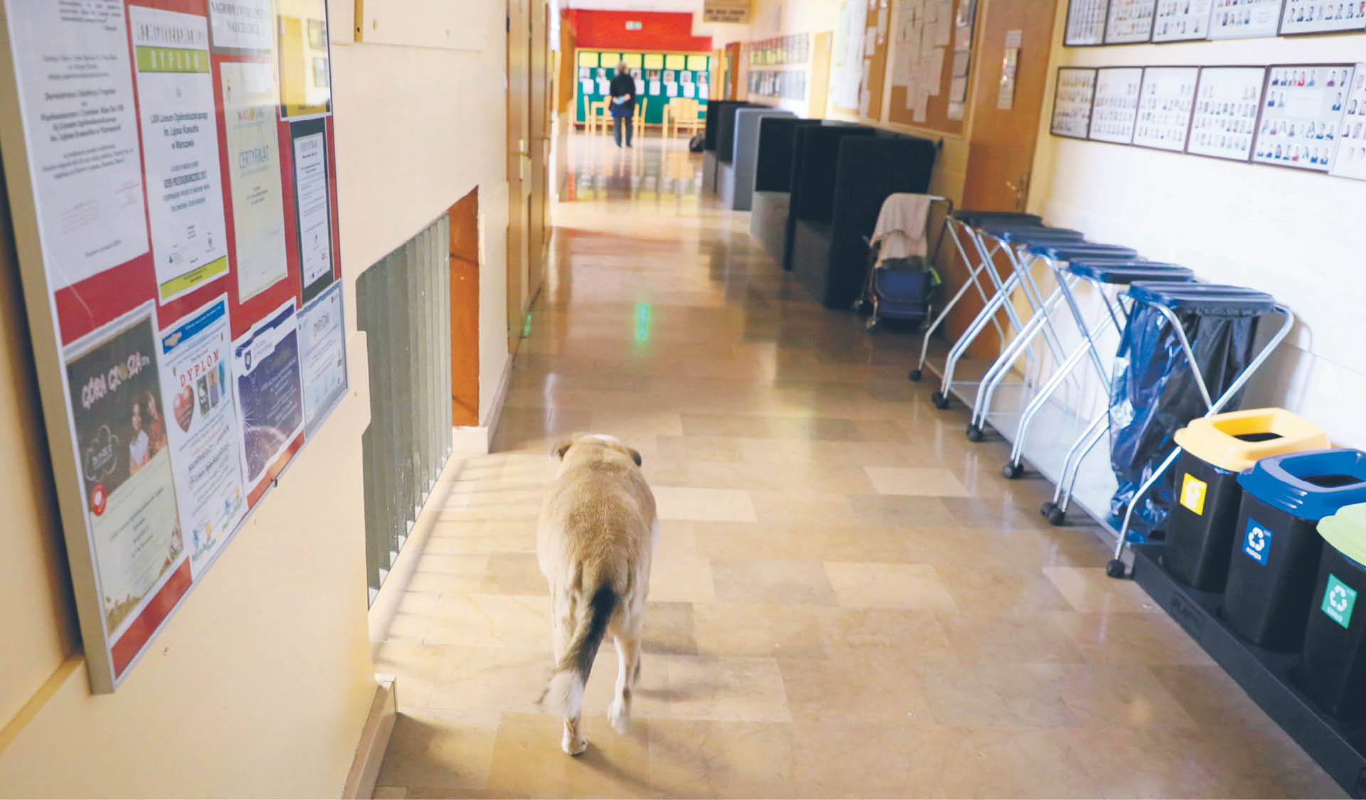 720597_big_photo_image_photo_image