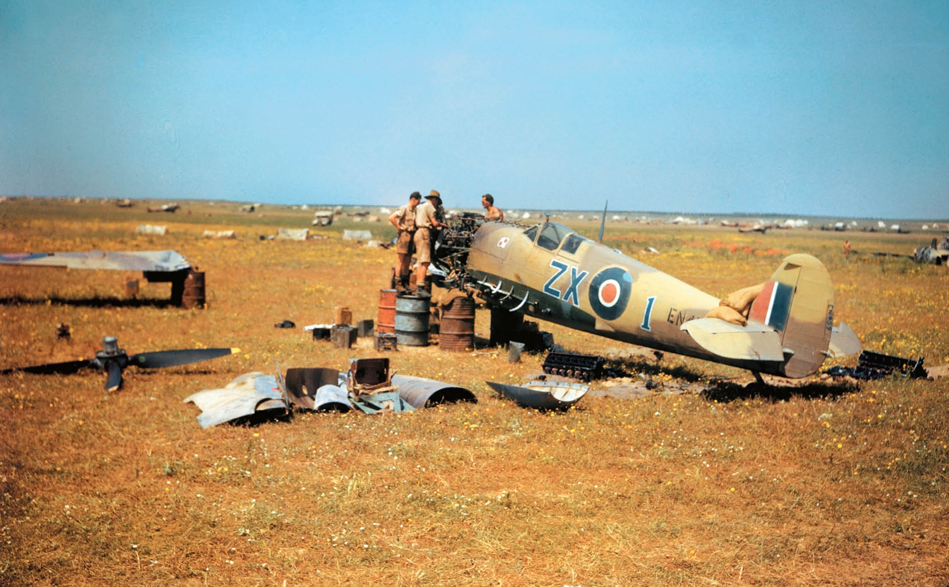 729729_big_photo_image_photo_image