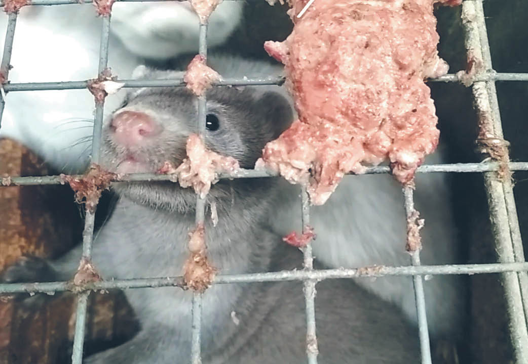 733657_big_photo_image_photo_image