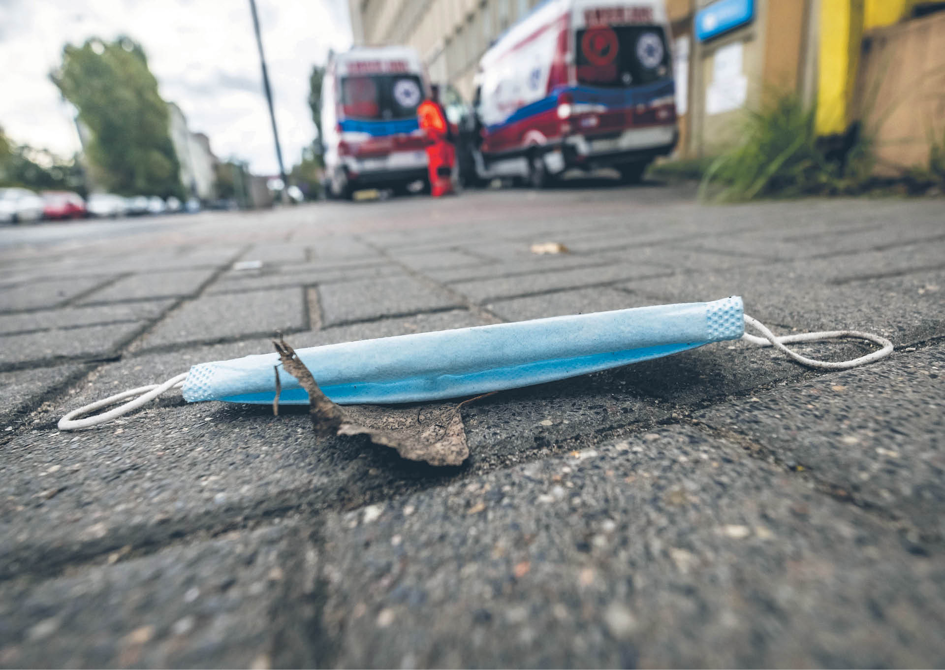 738649_big_photo_image_photo_image