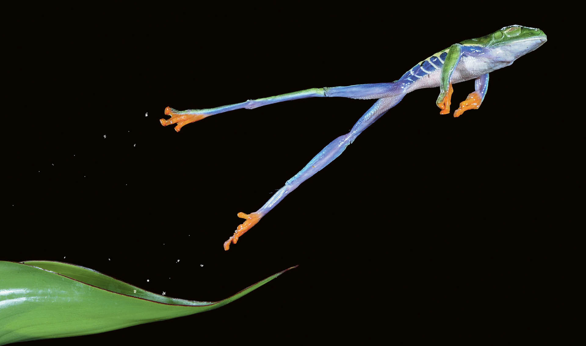 738212_big_photo_image_photo_image