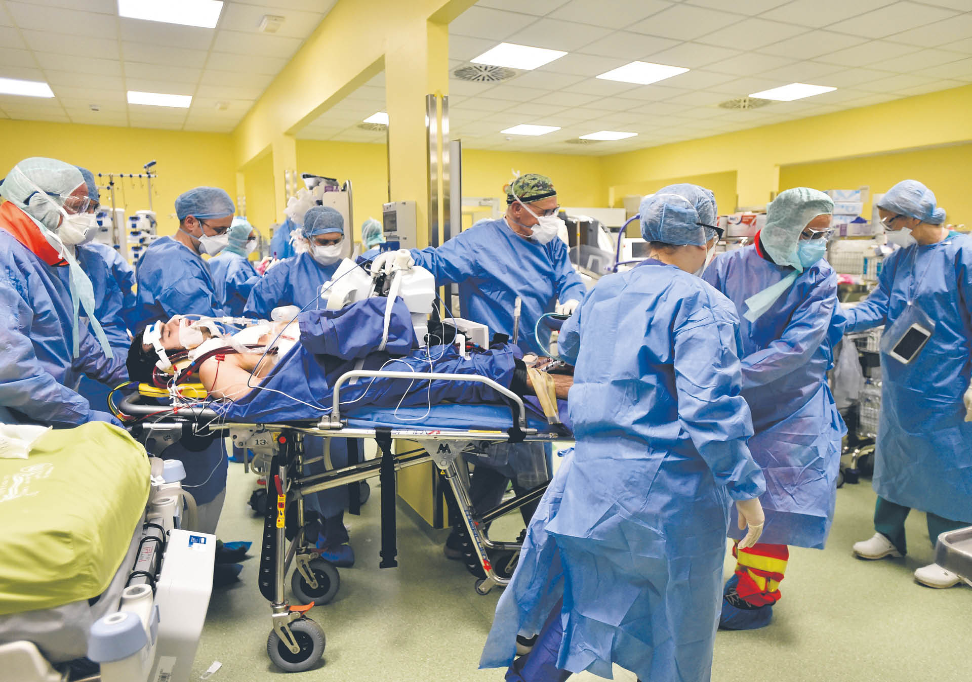 742433_big_photo_image_photo_image