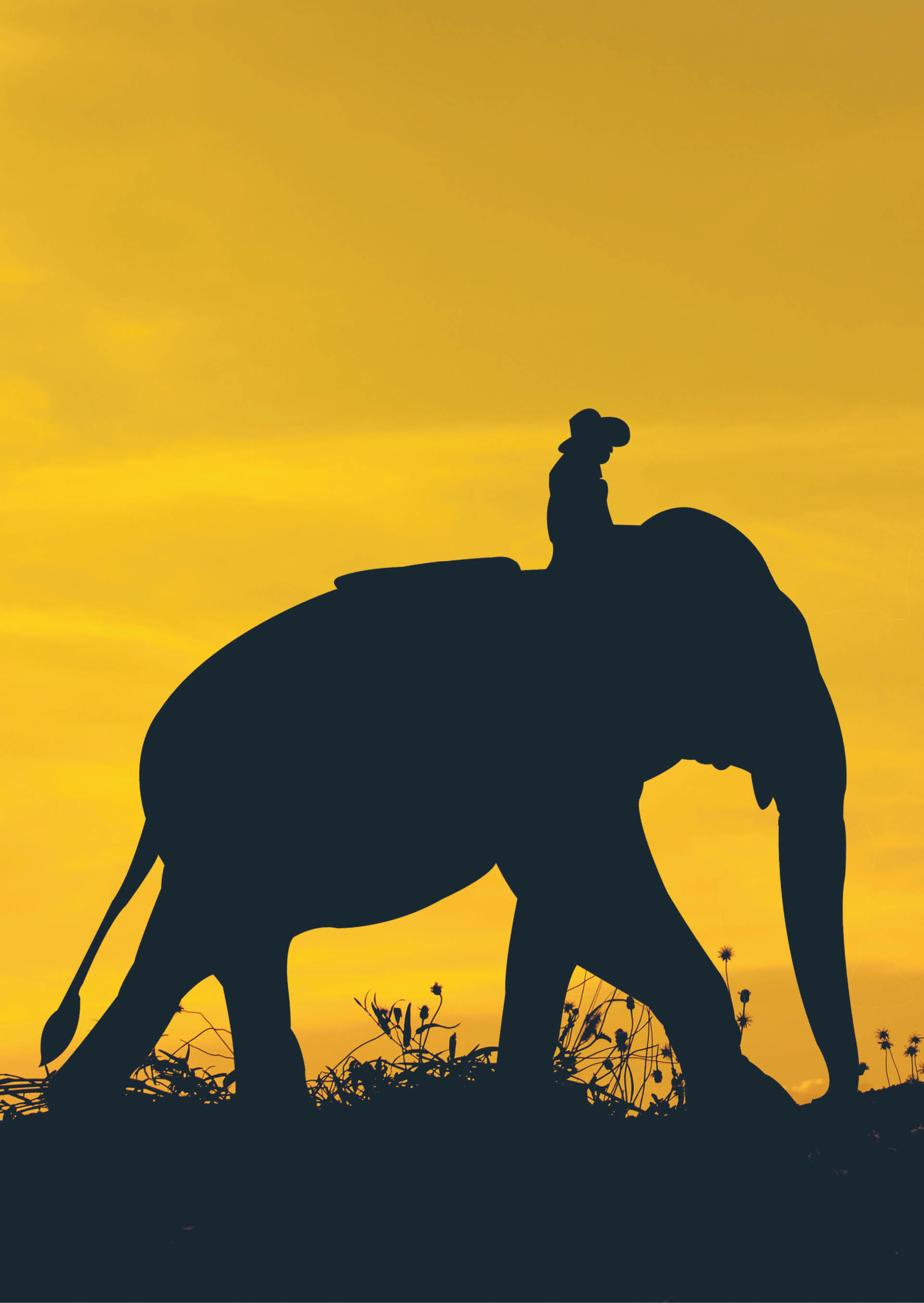 744130_big_photo_image_photo_image