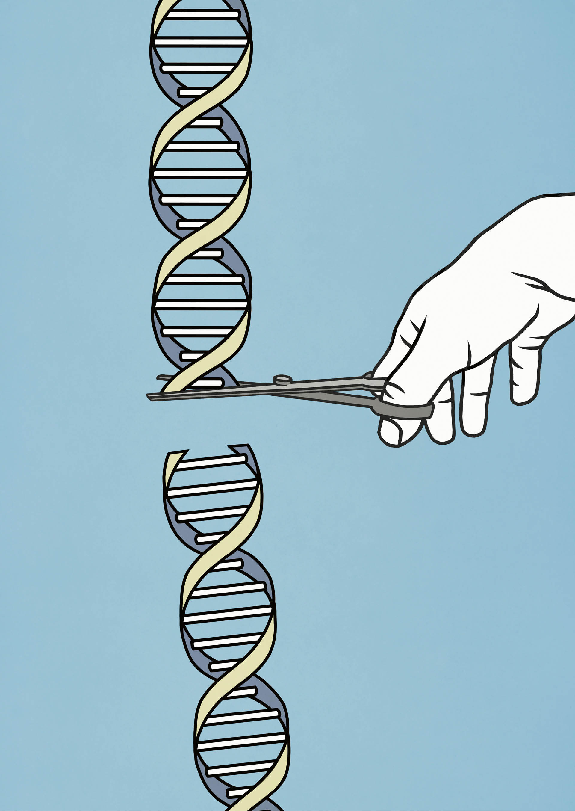 745087_big_photo_image_photo_image