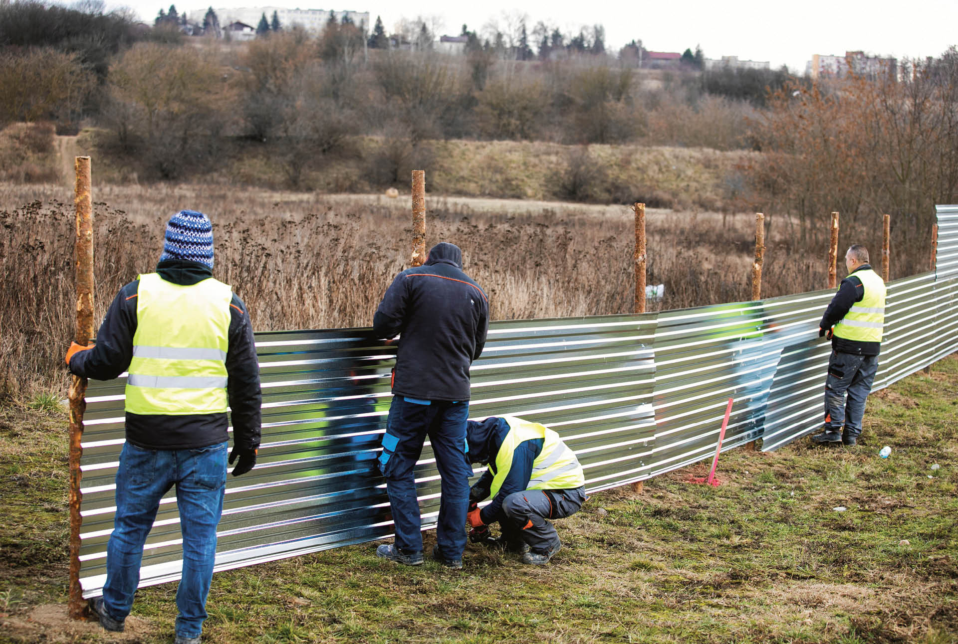 747706_big_photo_image_photo_image