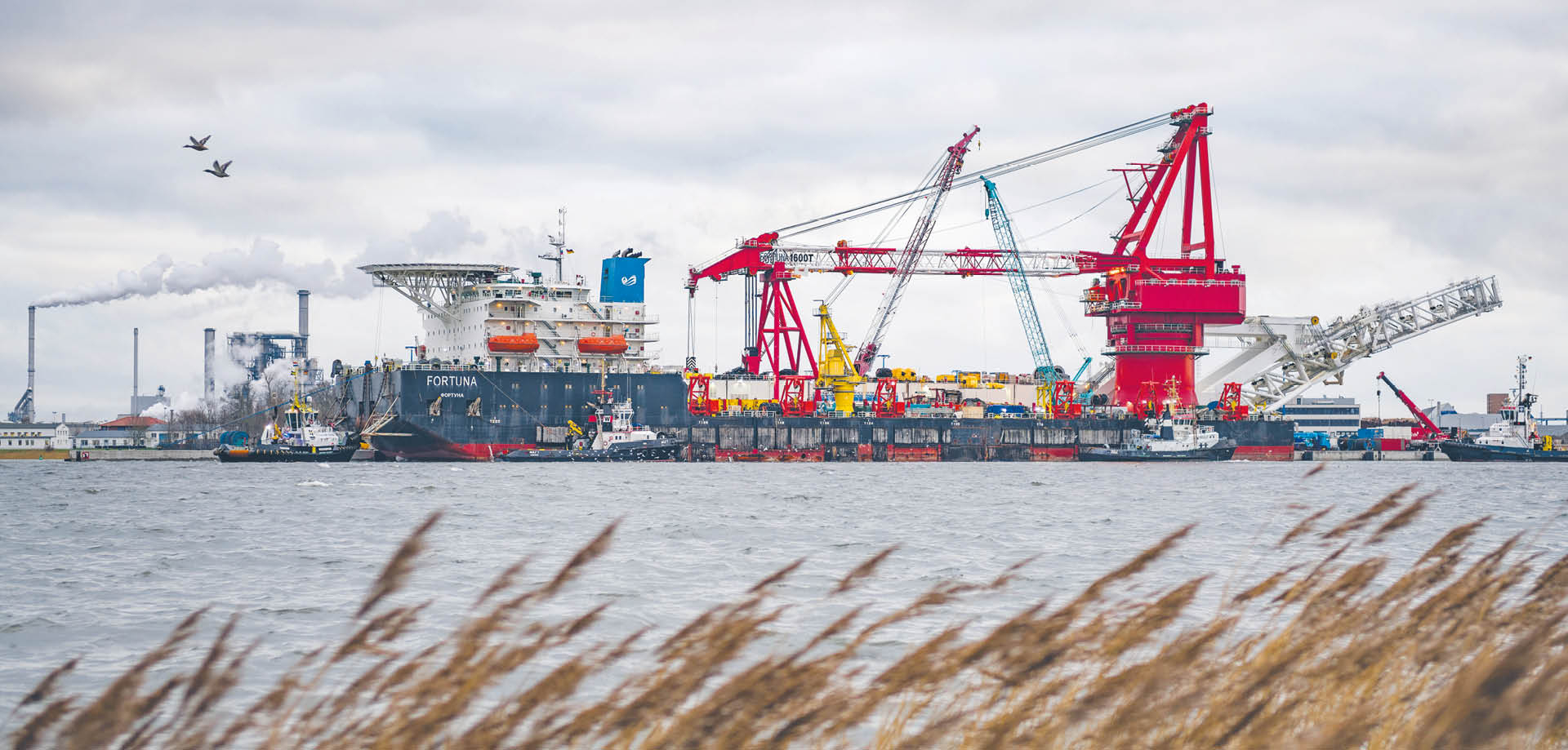 748766_big_photo_image_photo_image