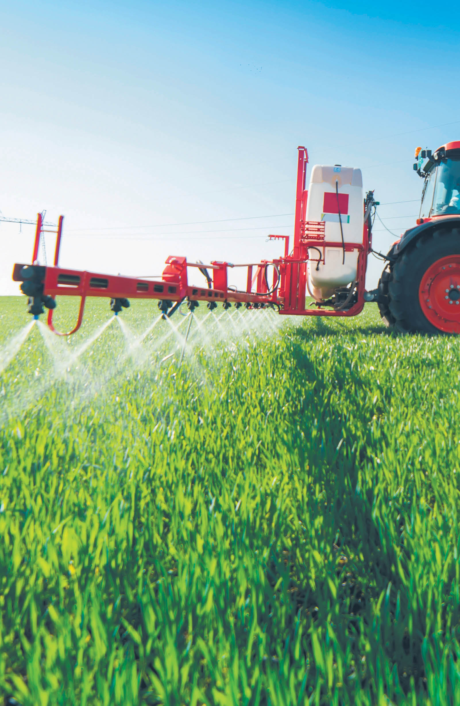 749208_big_photo_image_photo_image