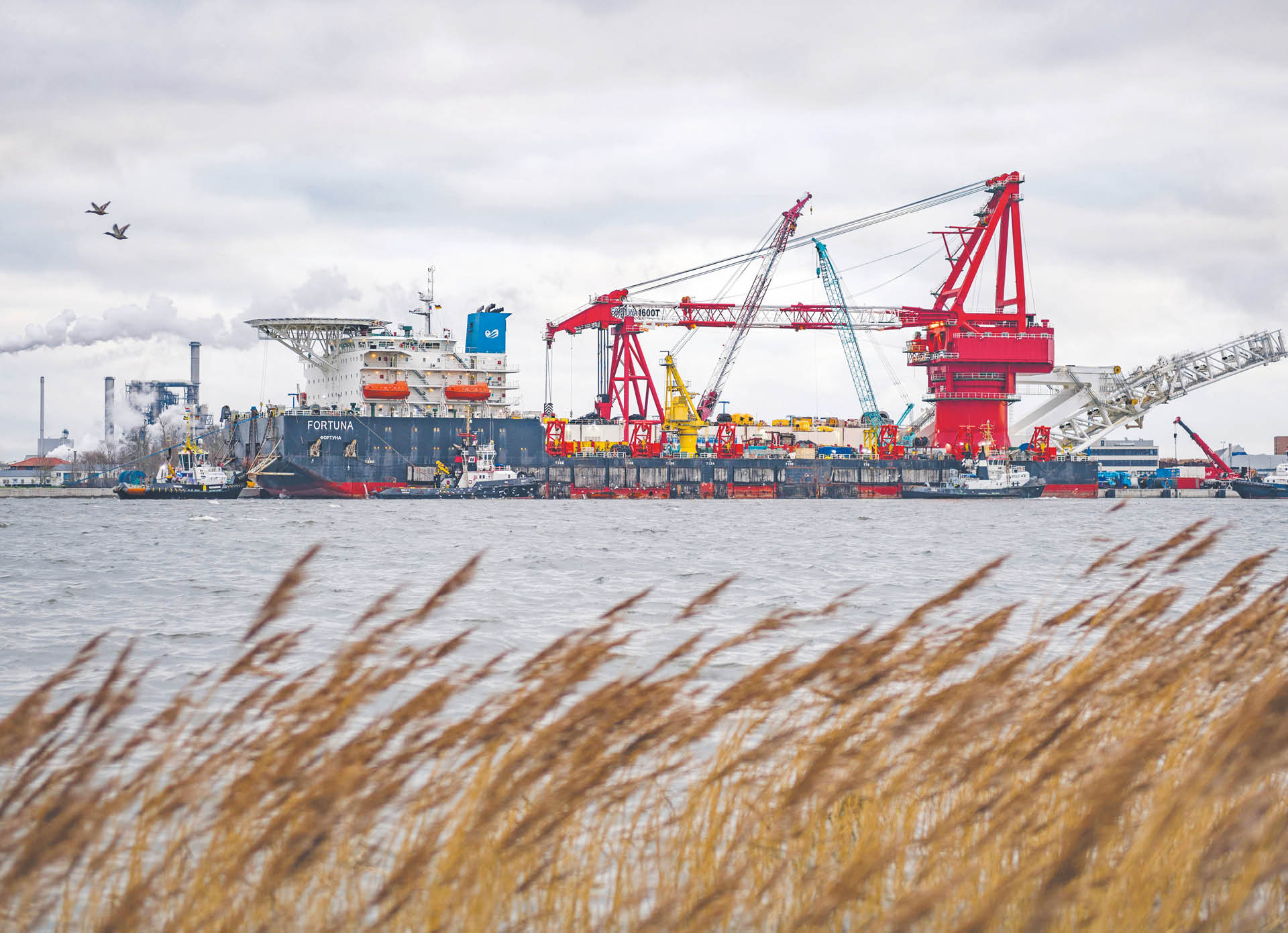 751879_big_photo_image_photo_image