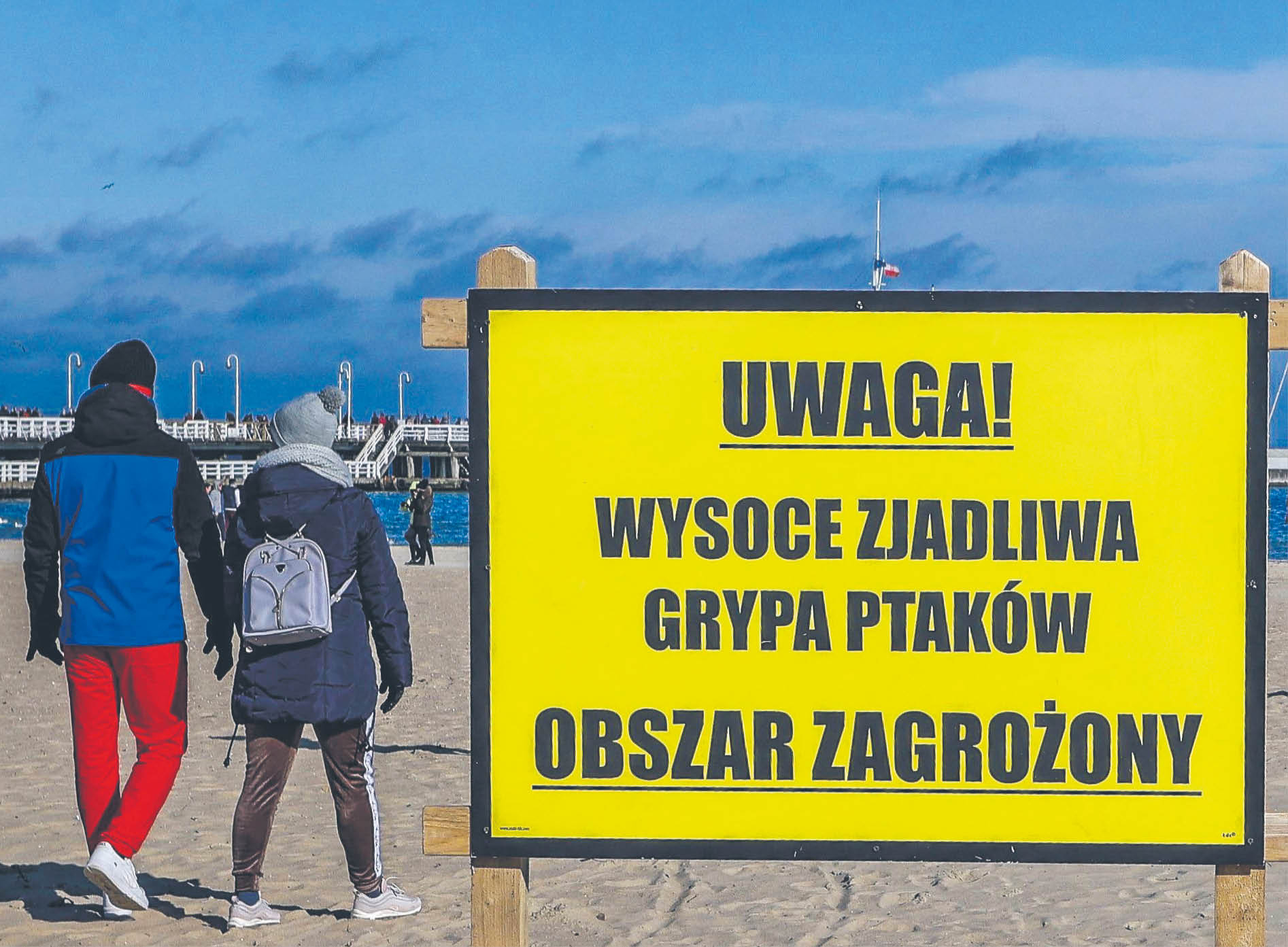 751893_big_photo_image_photo_image