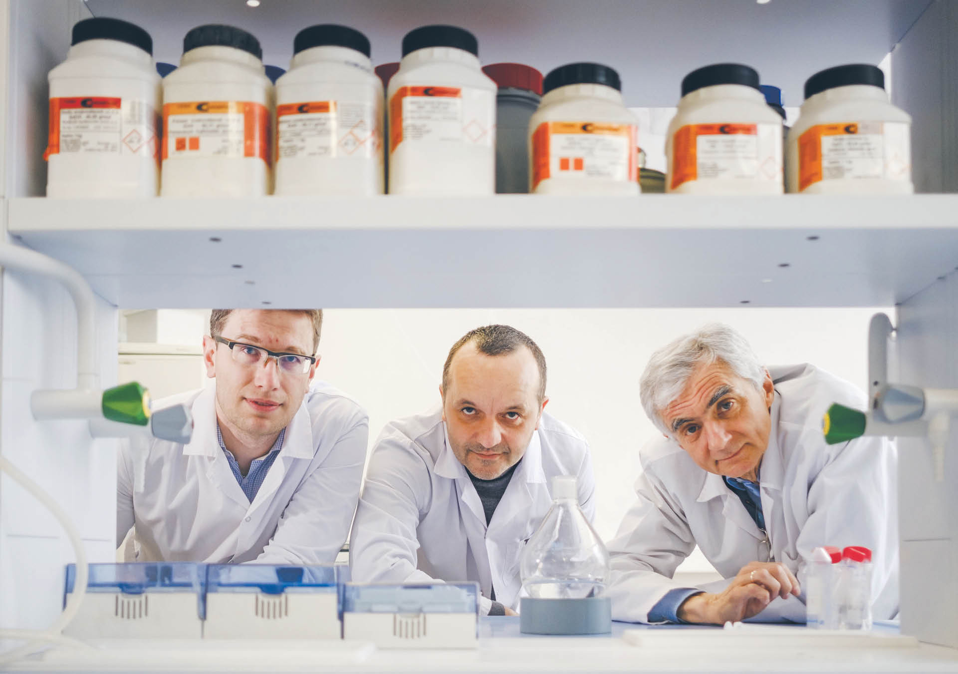 751242_big_photo_image_photo_image