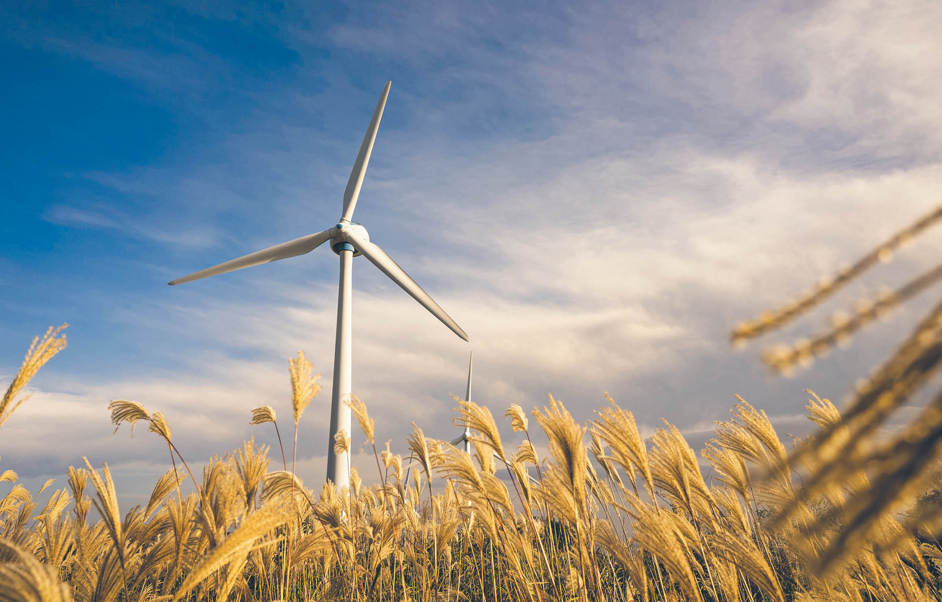 753842_big_photo_image_photo_image