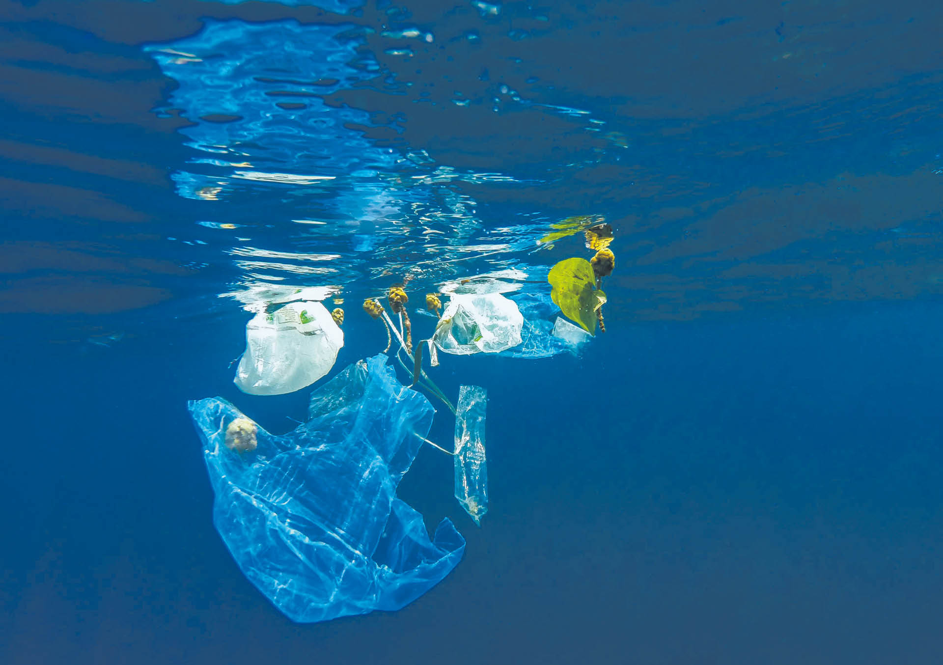 756710_big_photo_image_photo_image