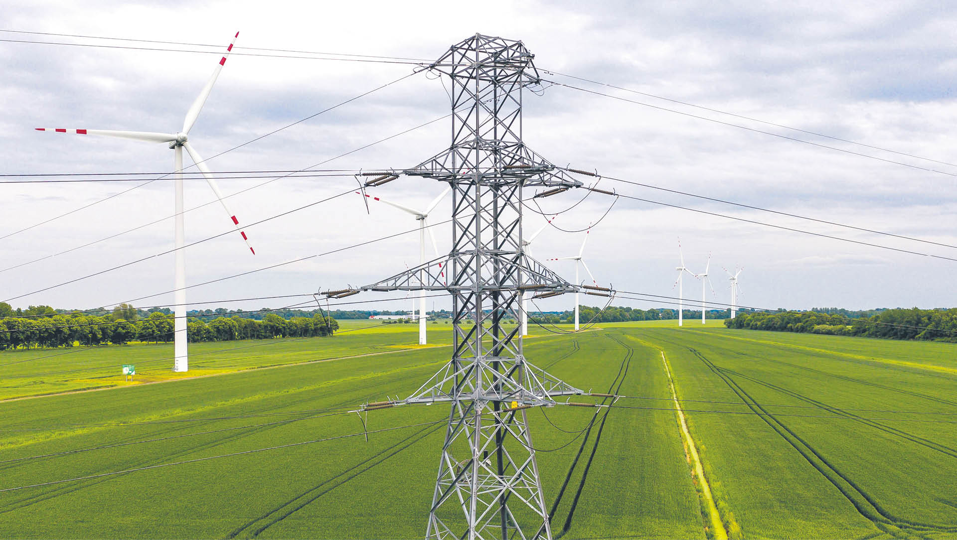 756943_big_photo_image_photo_image