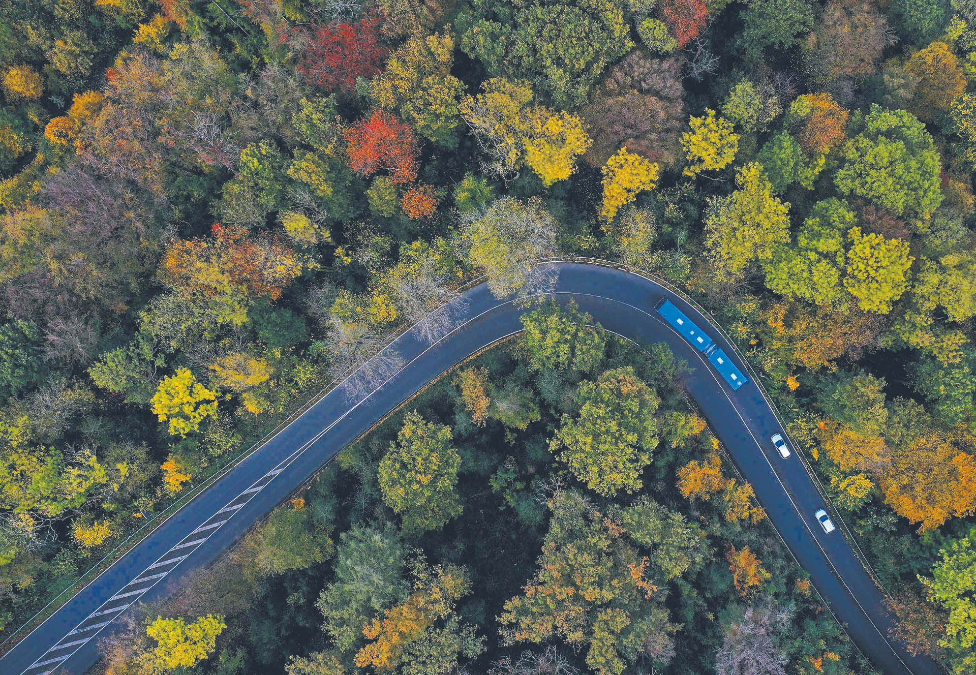 757437_big_photo_image_photo_image