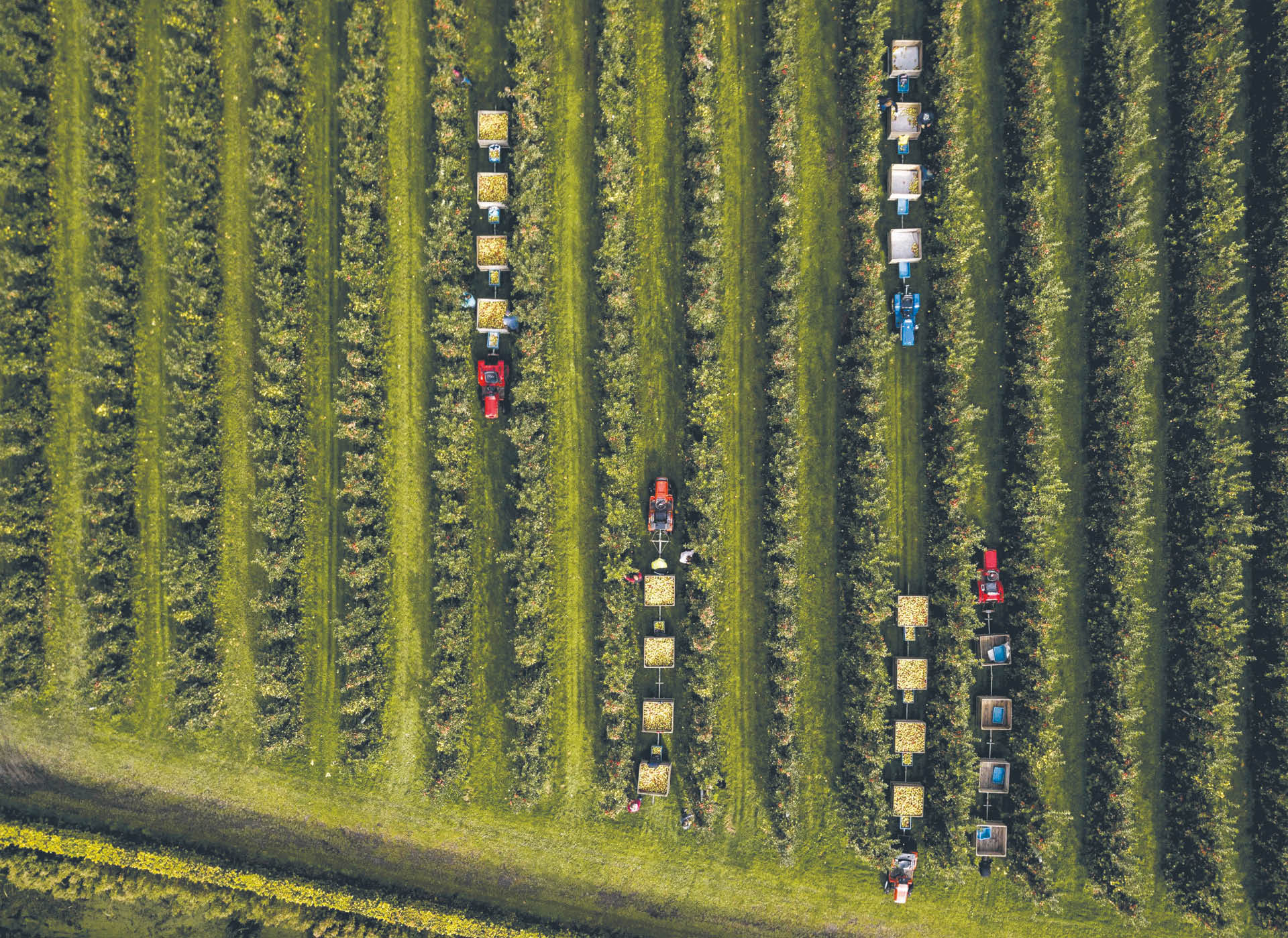 758595_big_photo_image_photo_image