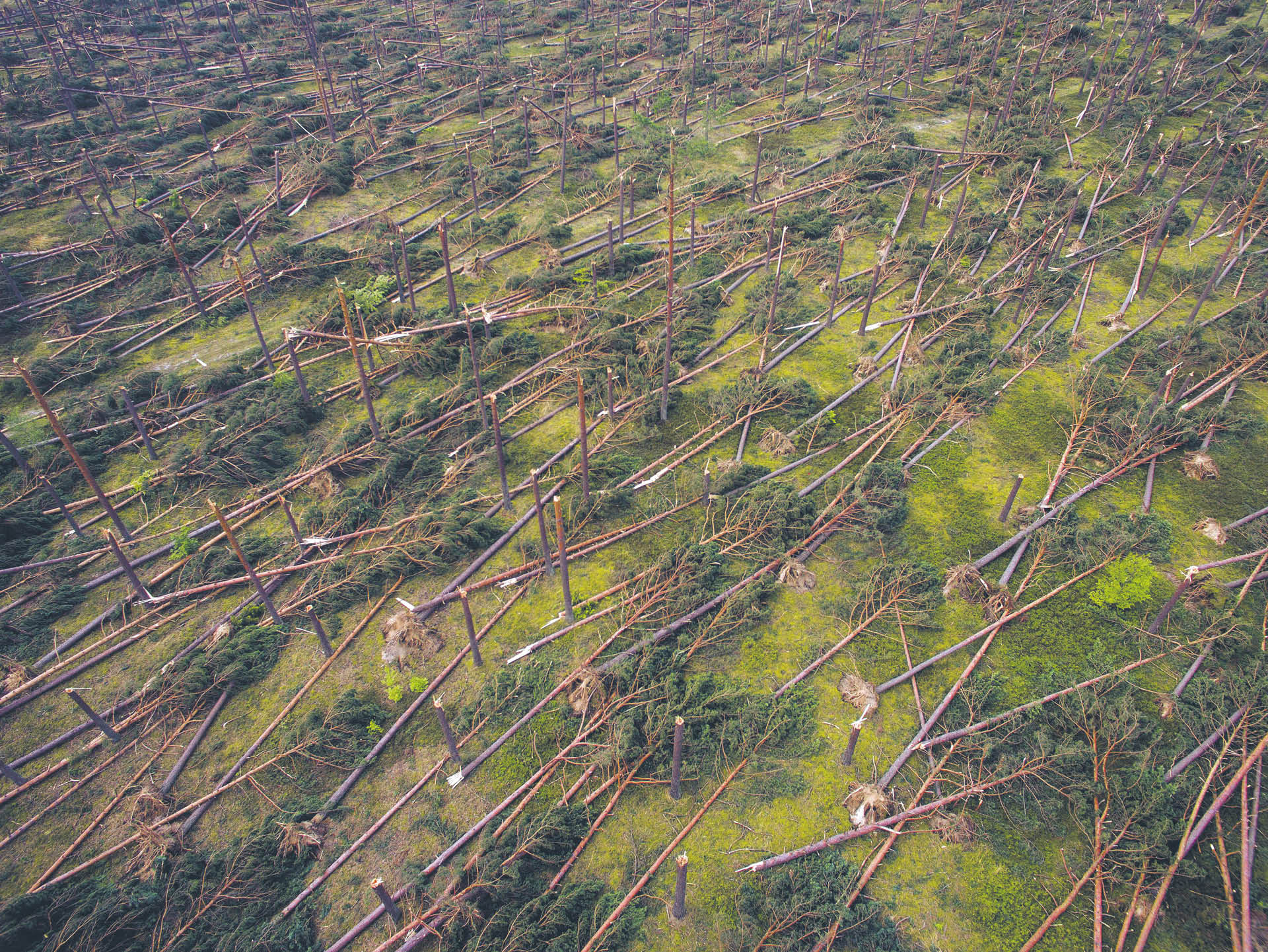 758155_big_photo_image_photo_image