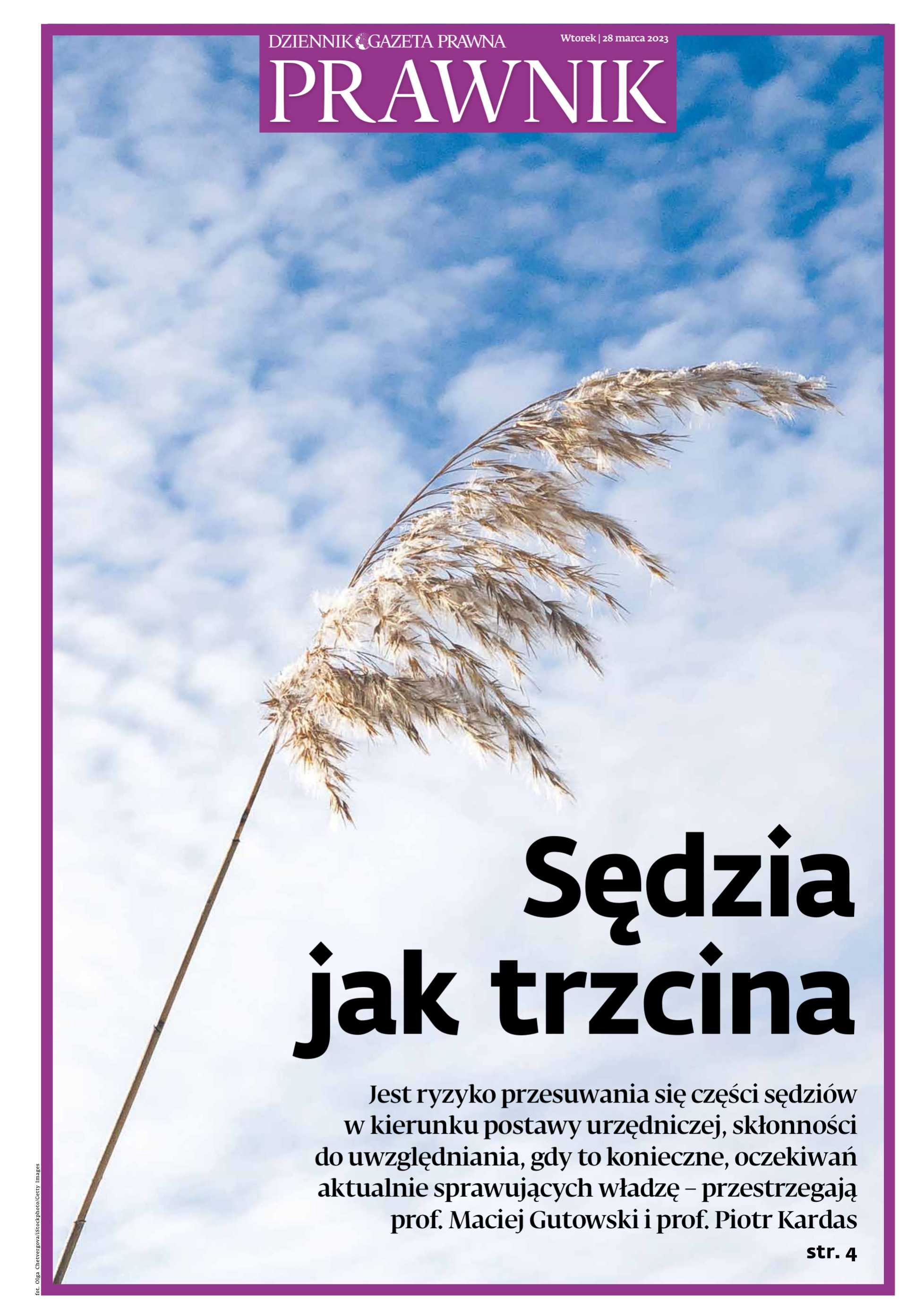 Prawnik_cover