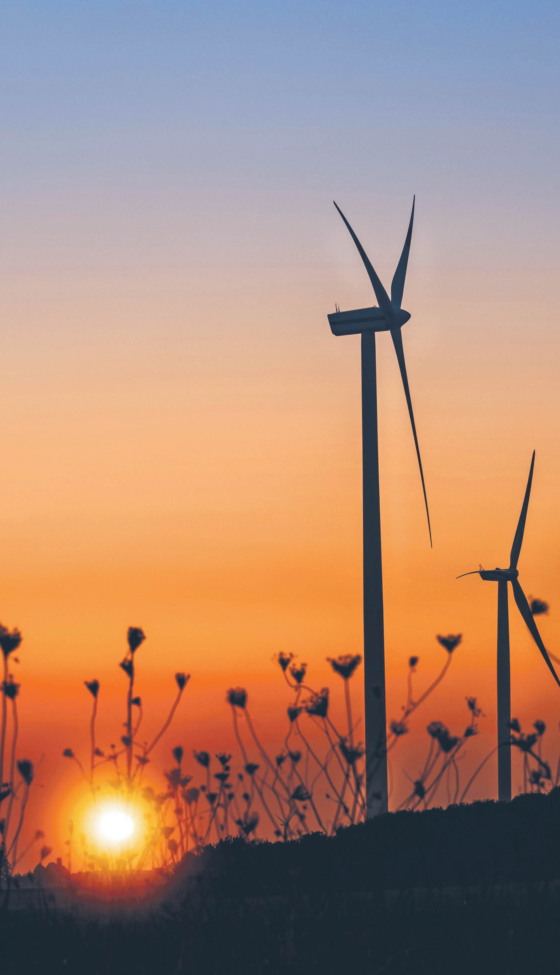 769696_big_photo_image_photo_image