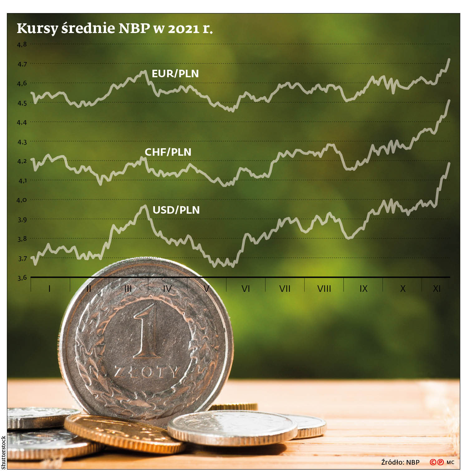 771208_big_photo_image_photo_image