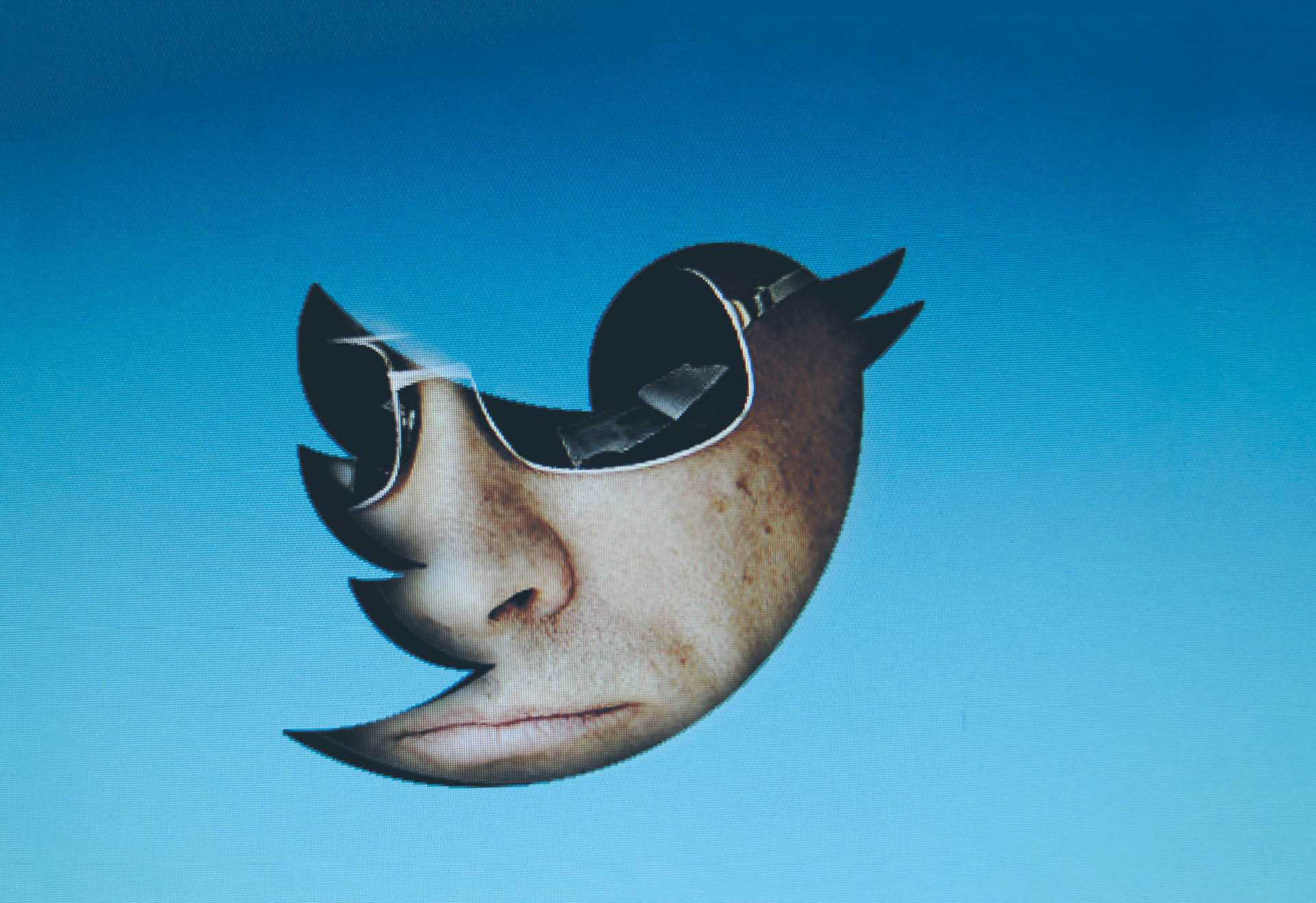 774729_big_photo_image_photo_image