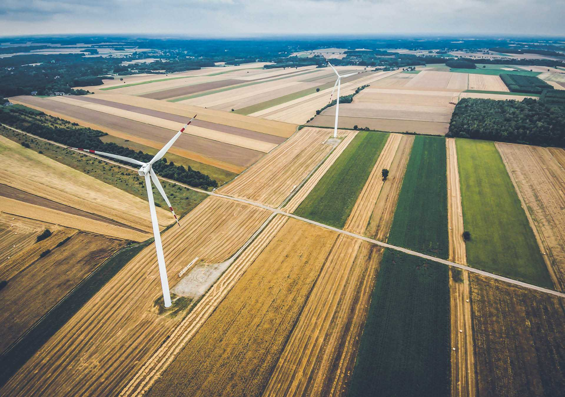 775607_big_photo_image_photo_image