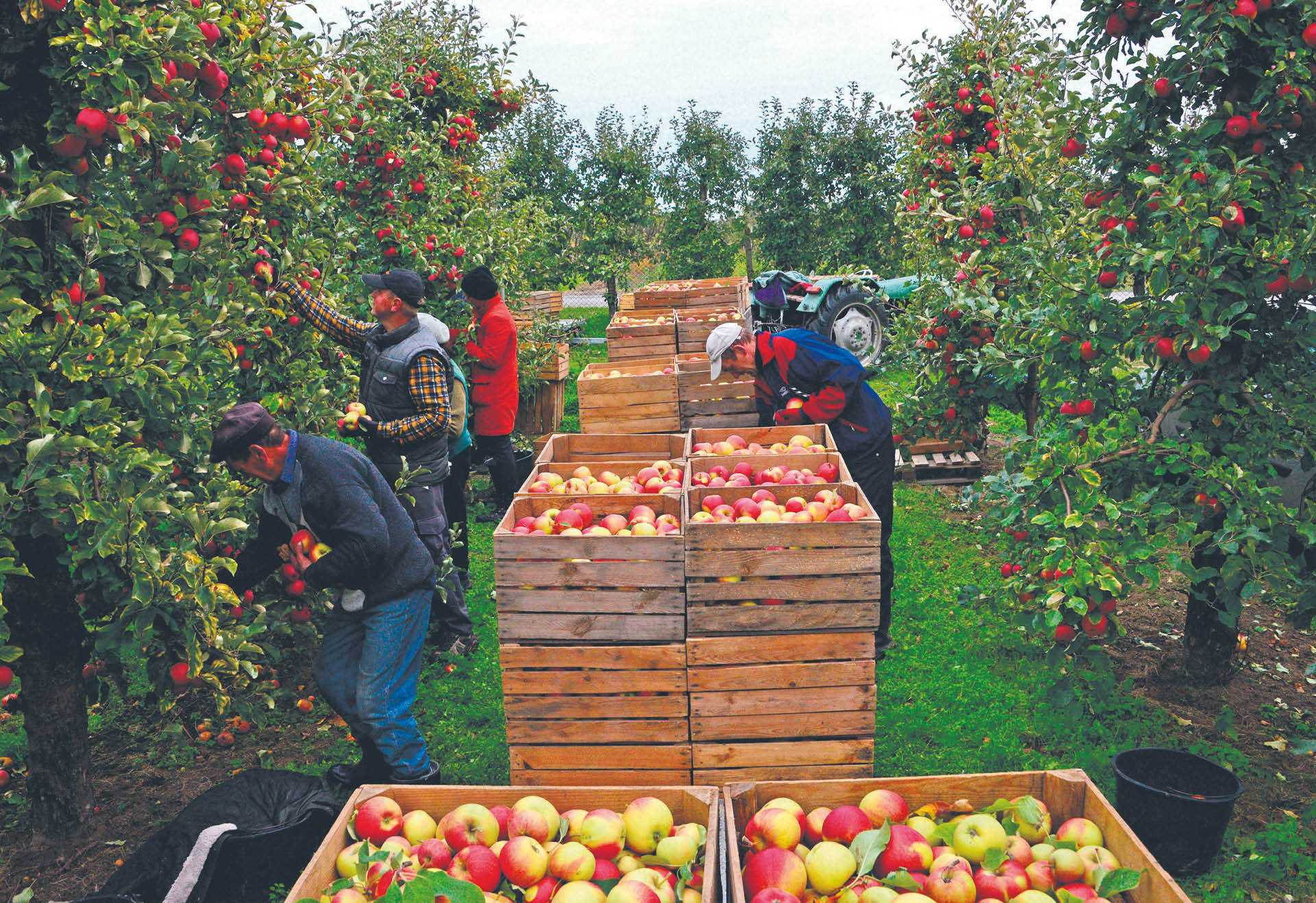 779577_big_photo_image_photo_image